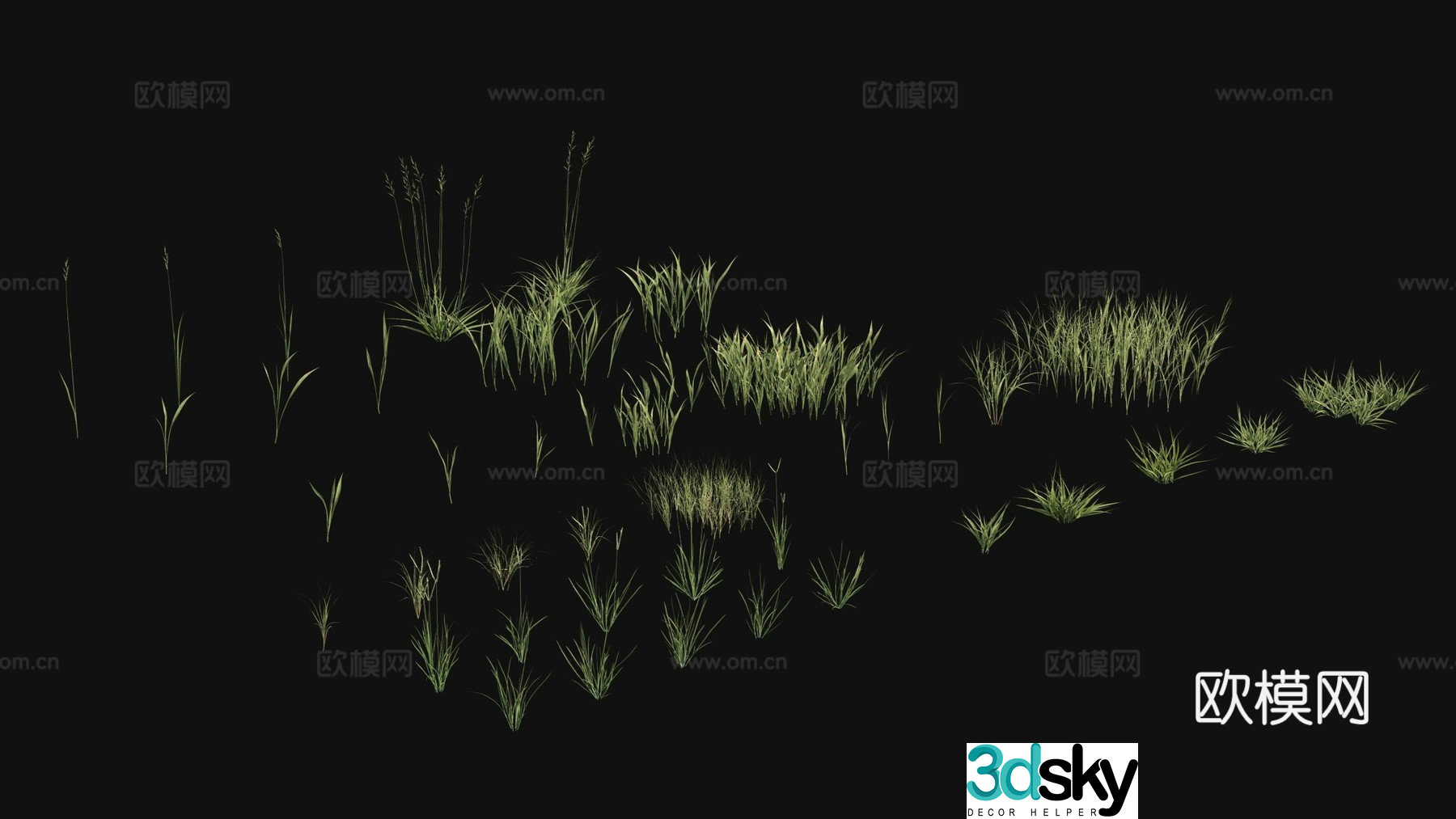 Outdoor flowers plants green plants 3d model