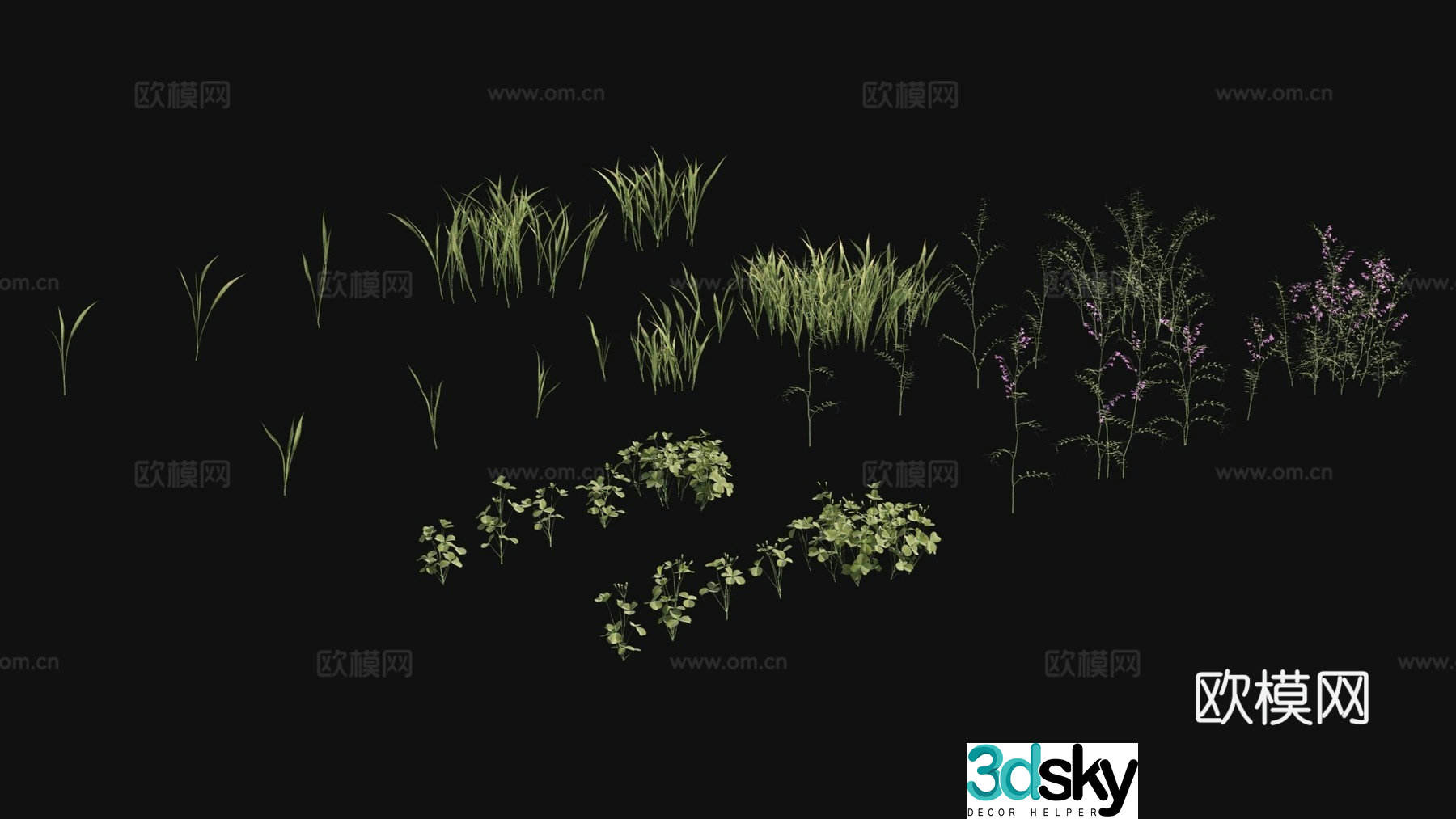Outdoor flowers plants green plants 3d model
