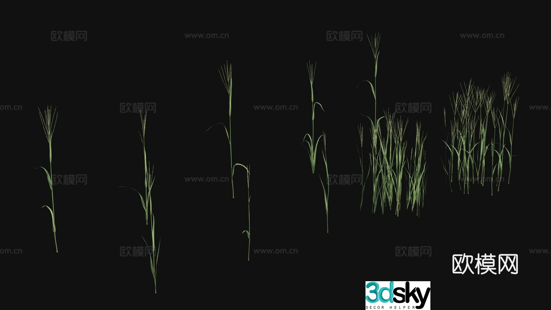 Outdoor flowers plants green plants 3d model