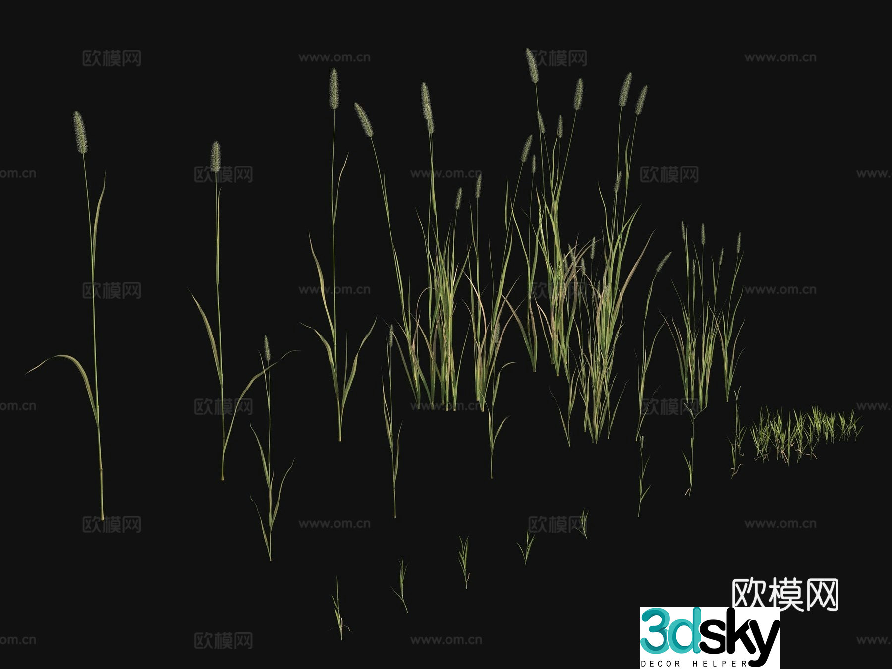 Outdoor flowers plants green plants 3d model