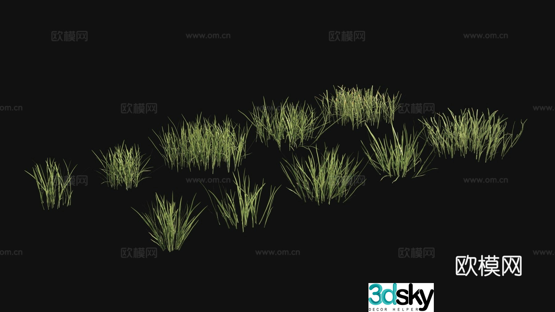 Outdoor flowers green plants plants 3d model