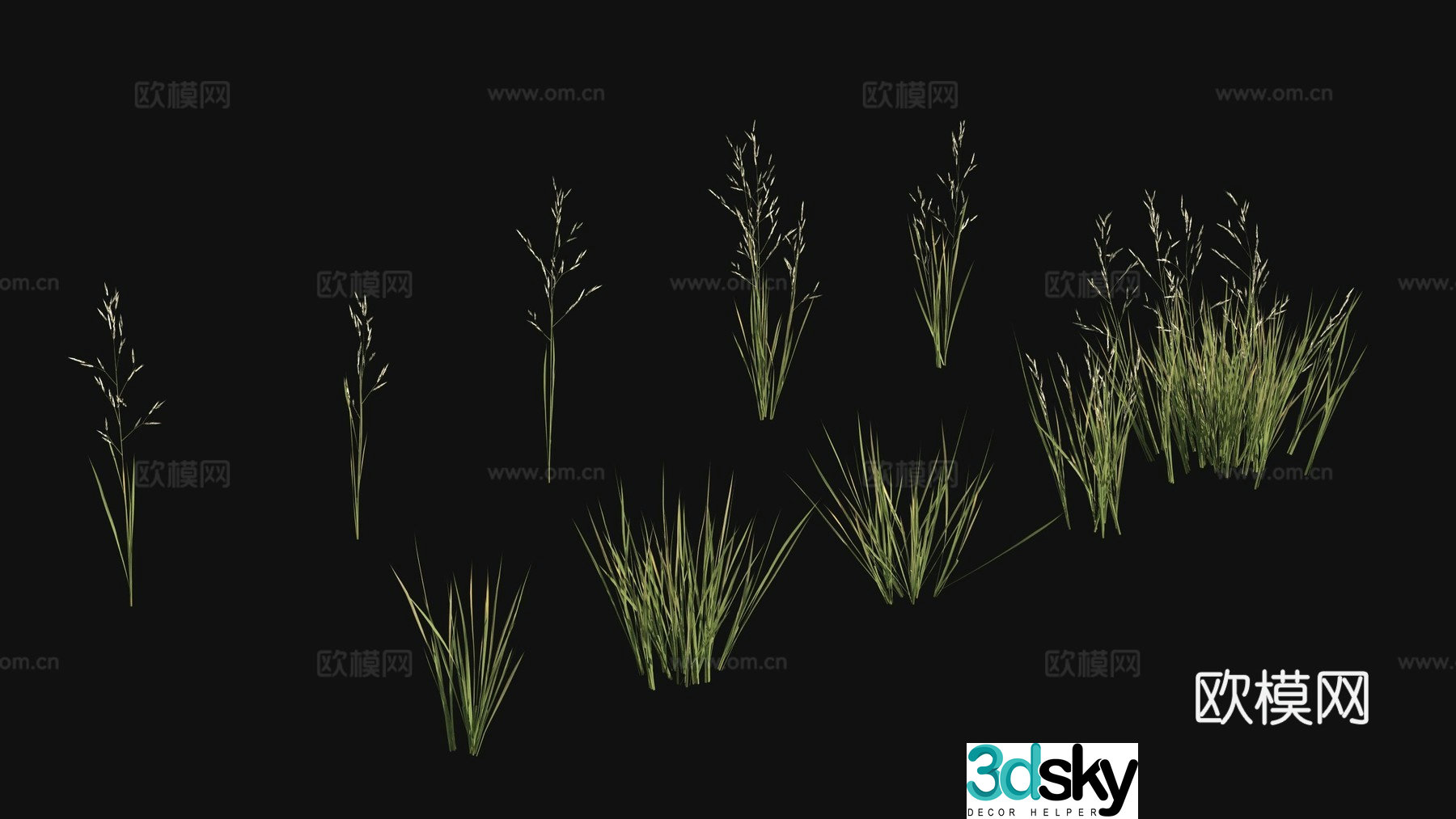 Outdoor flowers plants green plants 3d model