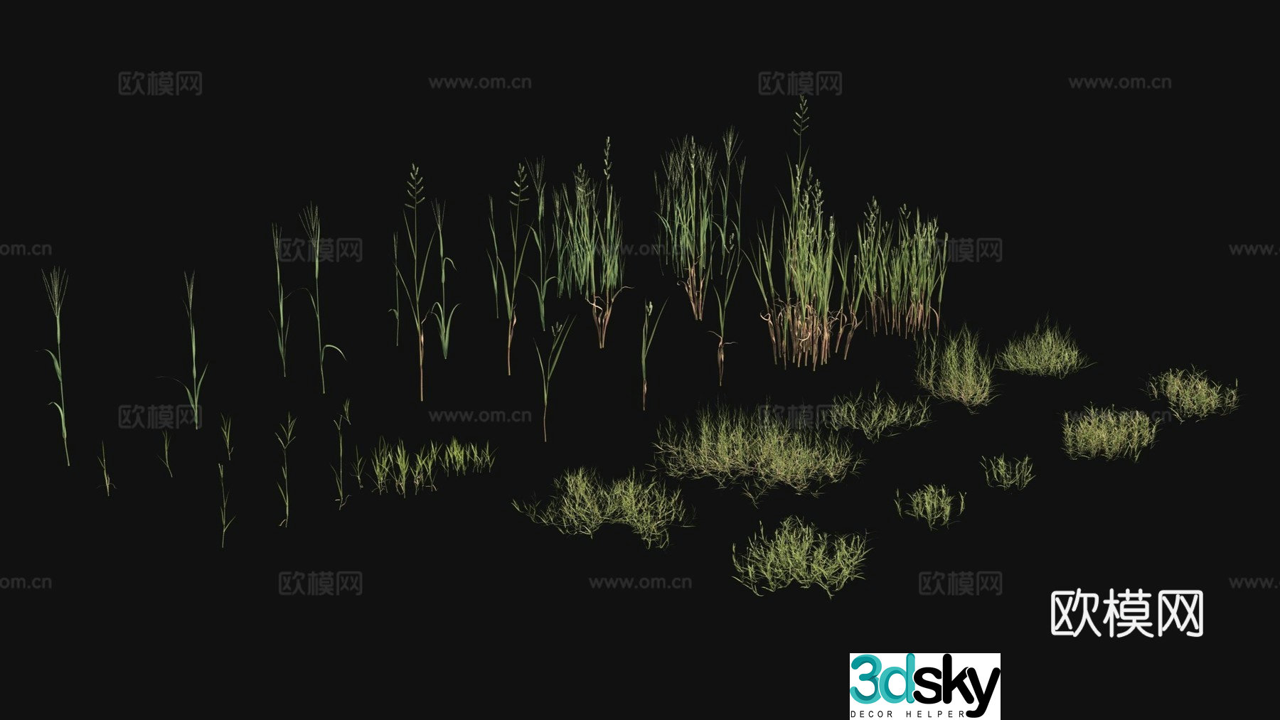 Outdoor flowers plants green plants 3d model