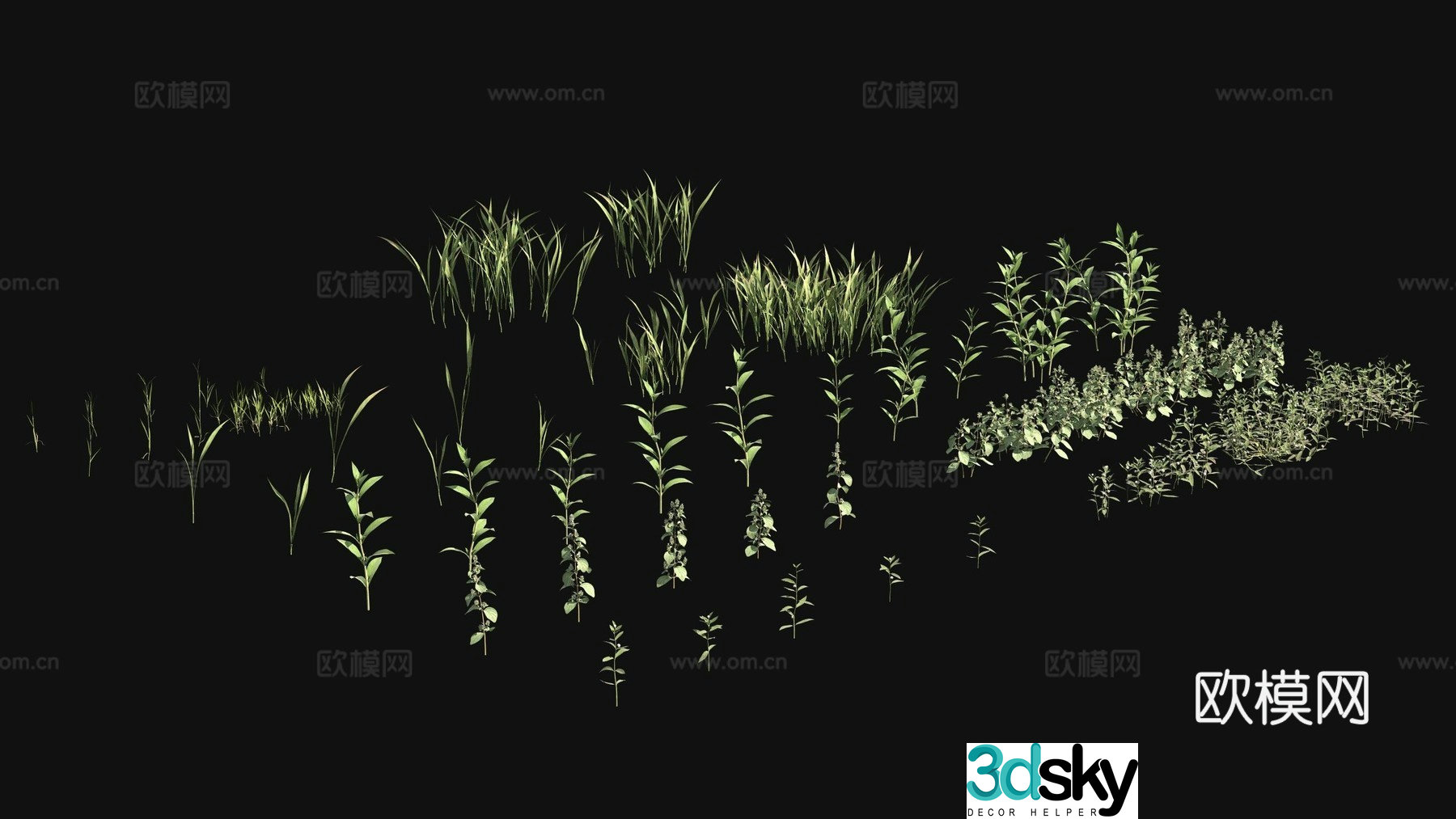 Outdoor flowers and plants plants green plants 3d model