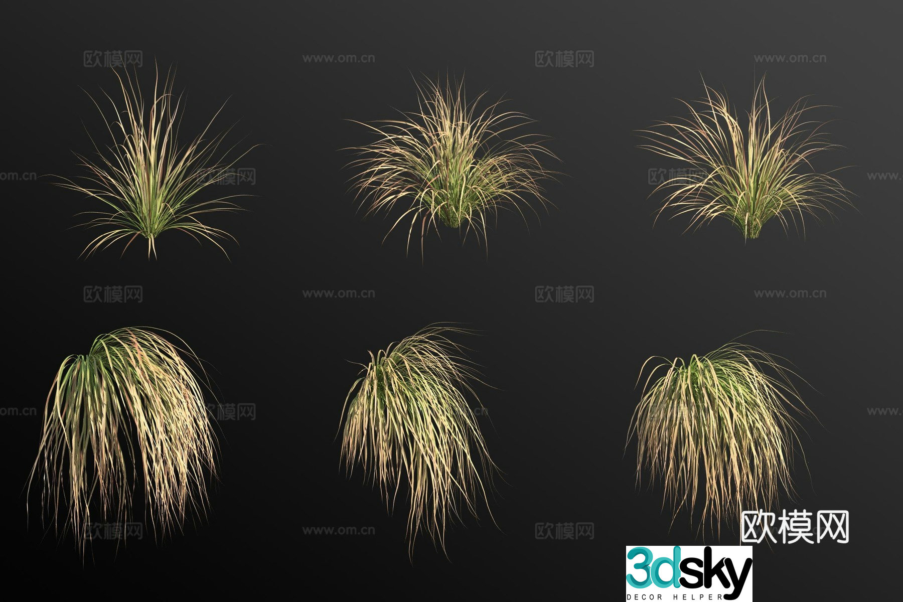 Orange Carex flower and grass 3d model