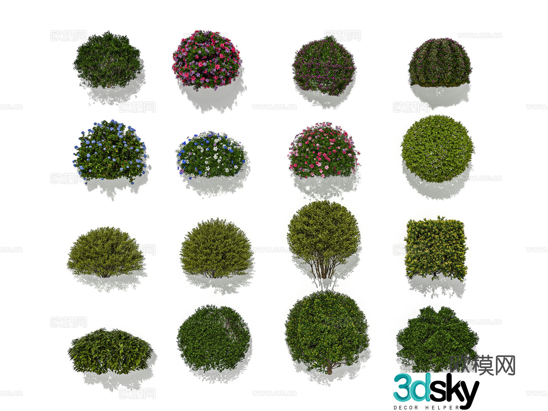 Modeling shrub ball flowering shrub pruning and shaping shrub 3D model