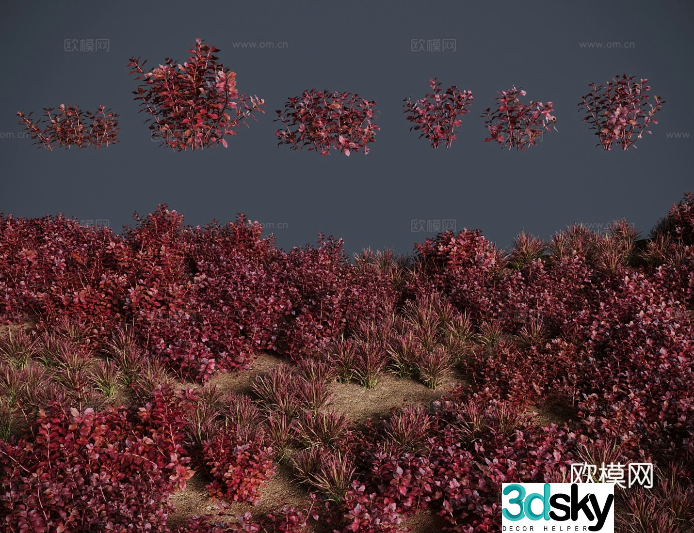 3d model of red grass shrub with leaf bottom