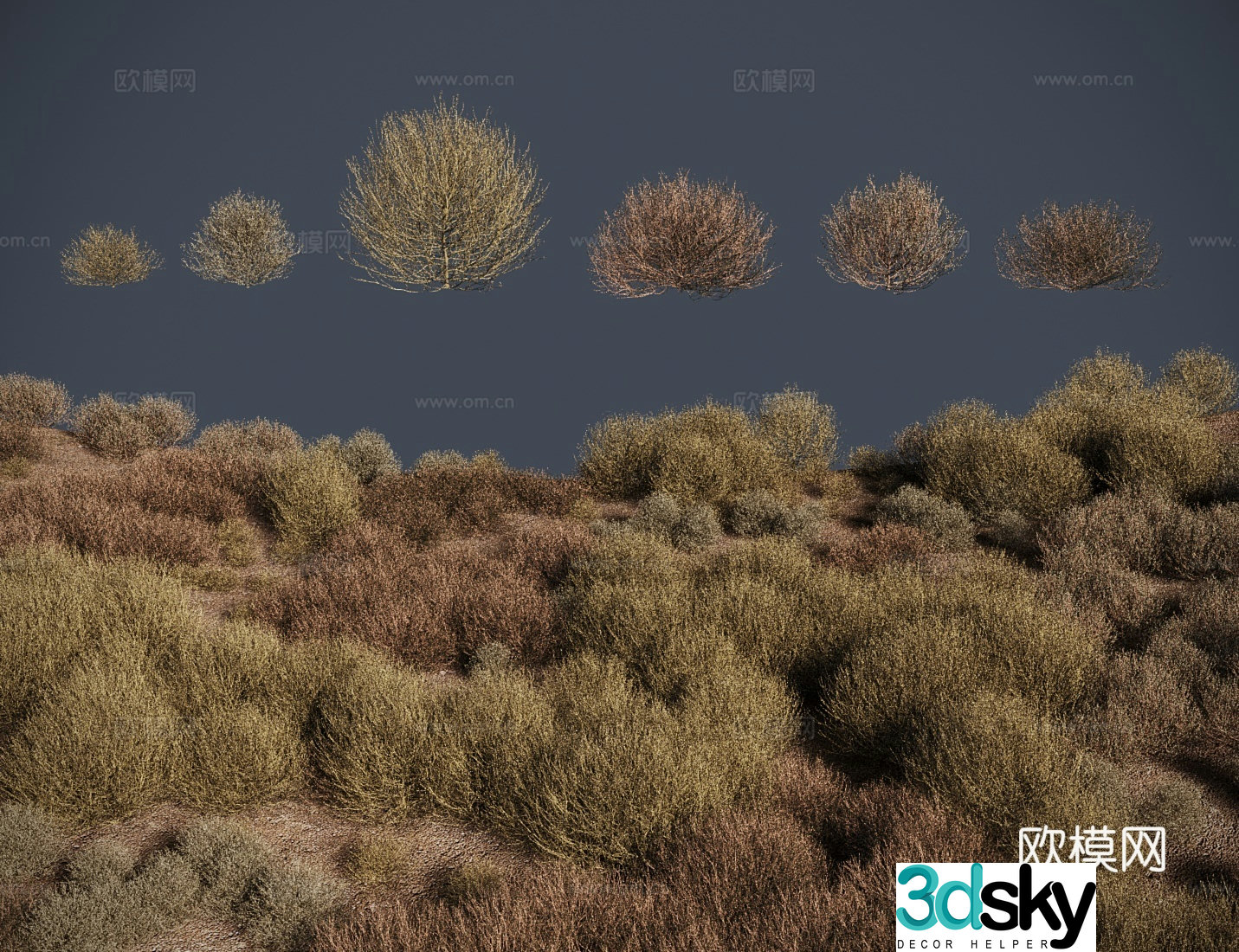 modern meadow lawn tumbleweed meadow shrub 3d model