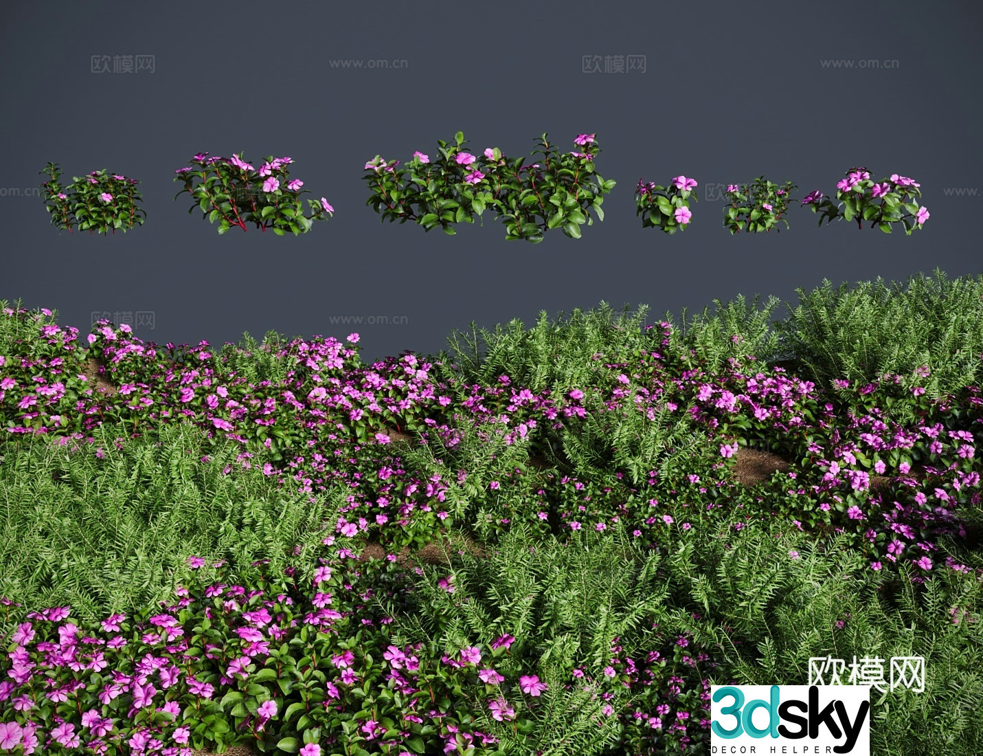 Modern meadow lawn periwinkle meadow shrub 3d model