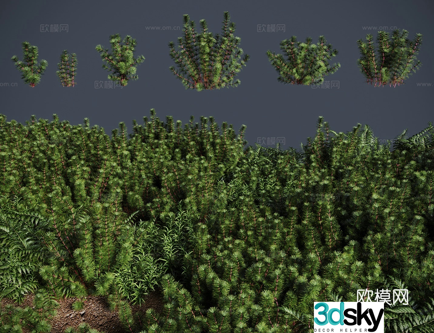 Antarctica meadow shrub 3d model