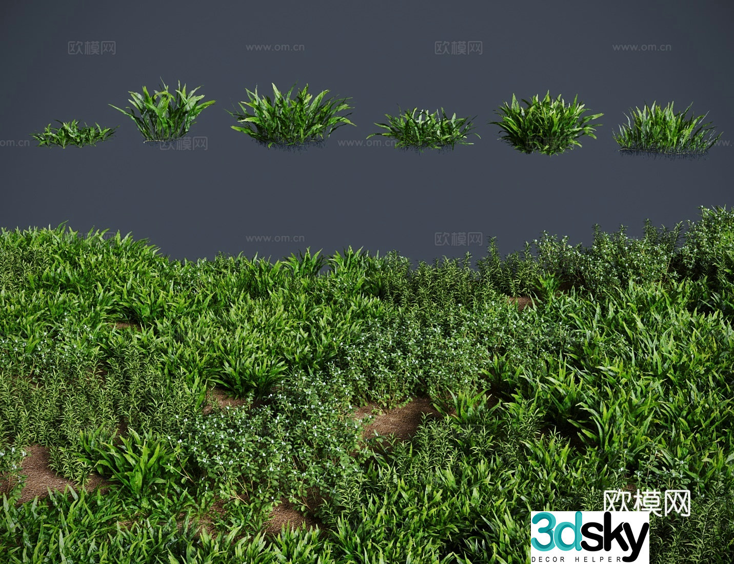grass lawn iron crown lawn shrub 3d model