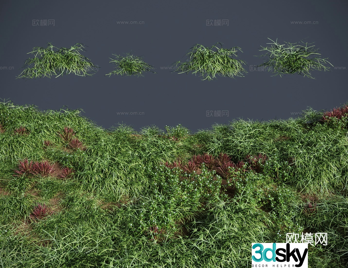 Modern lawn lawn wellside grass lawn shrub 3d model