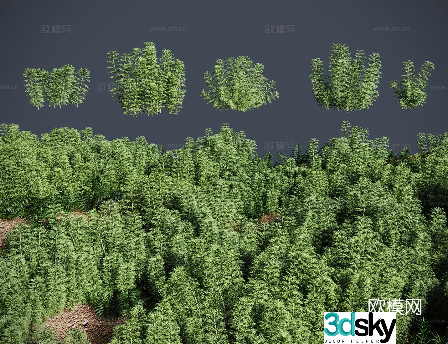 grass lawn big pagoda grass 3d model