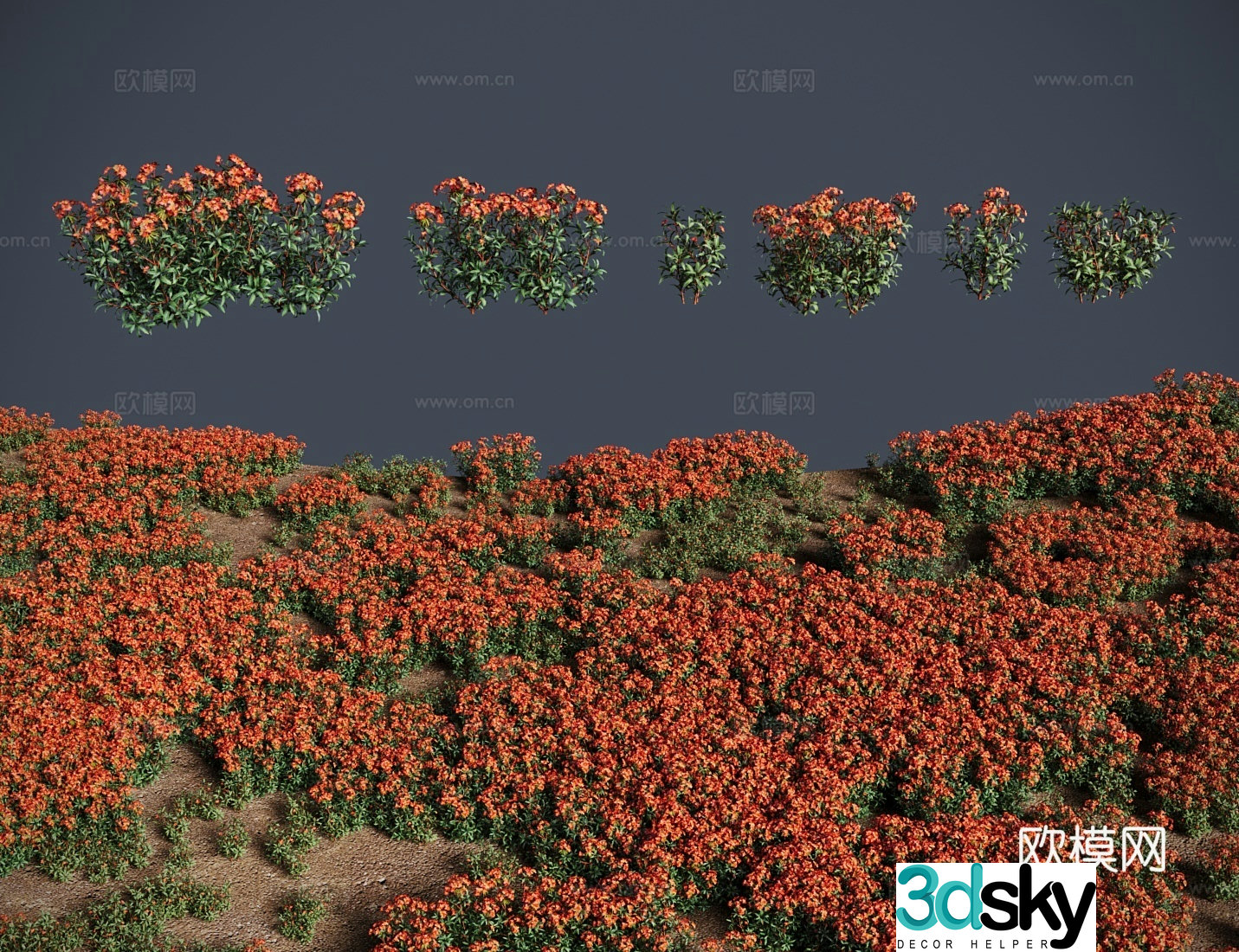 Modern grass lawn euphorbia grass shrub 3d model