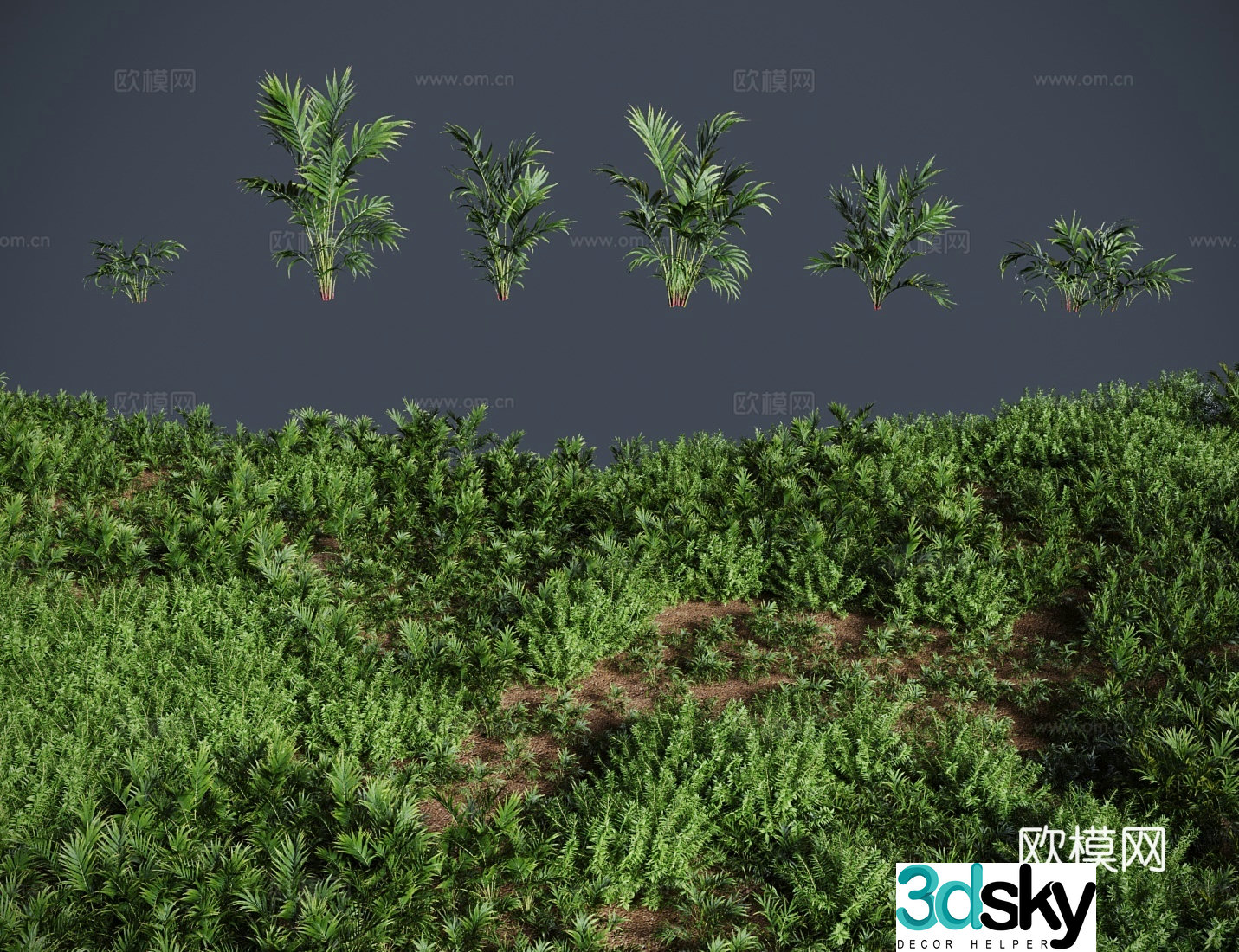 Modern grass lawn flat leaf brown grass shrub 3d model