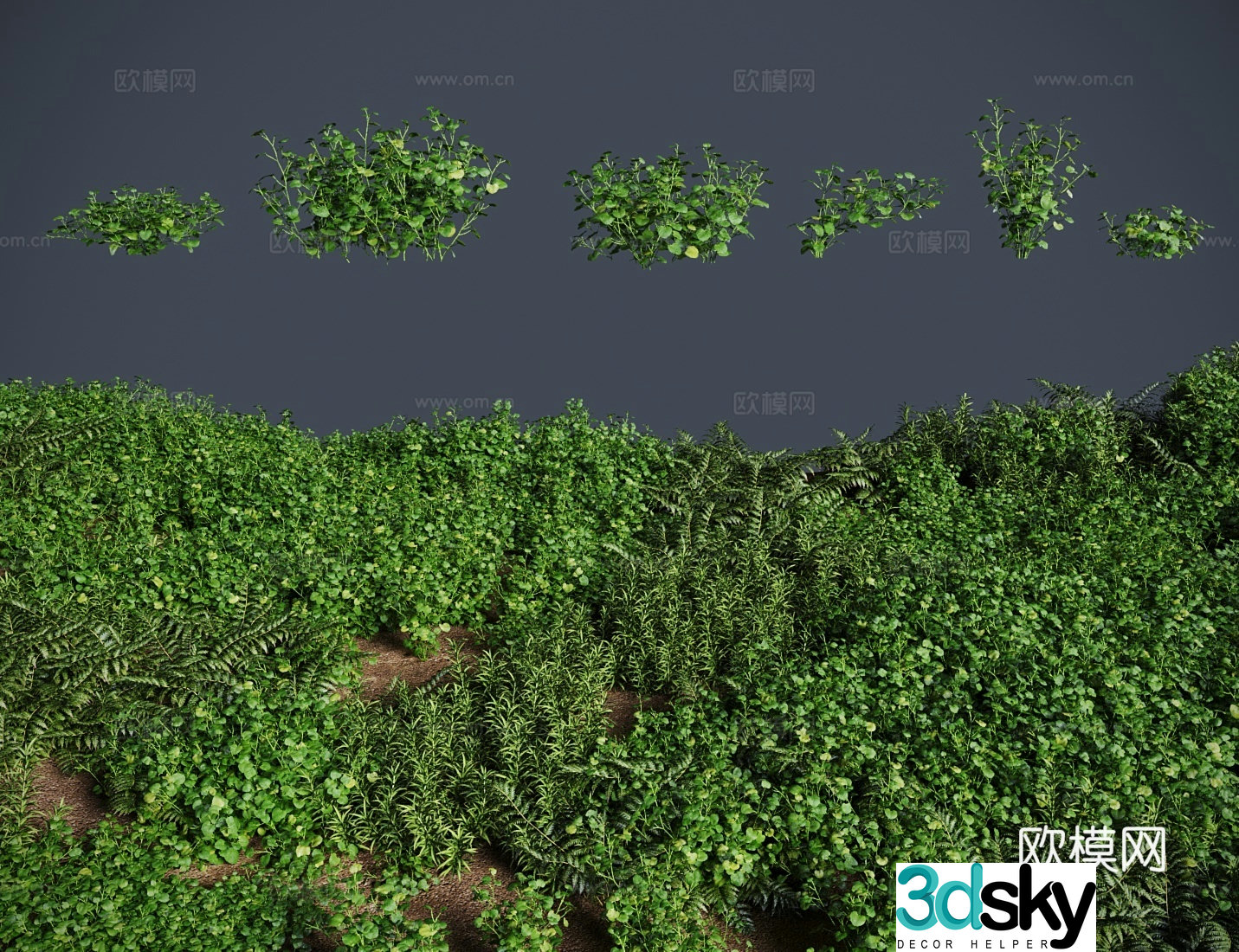 apple grass lawn shrub 3d model