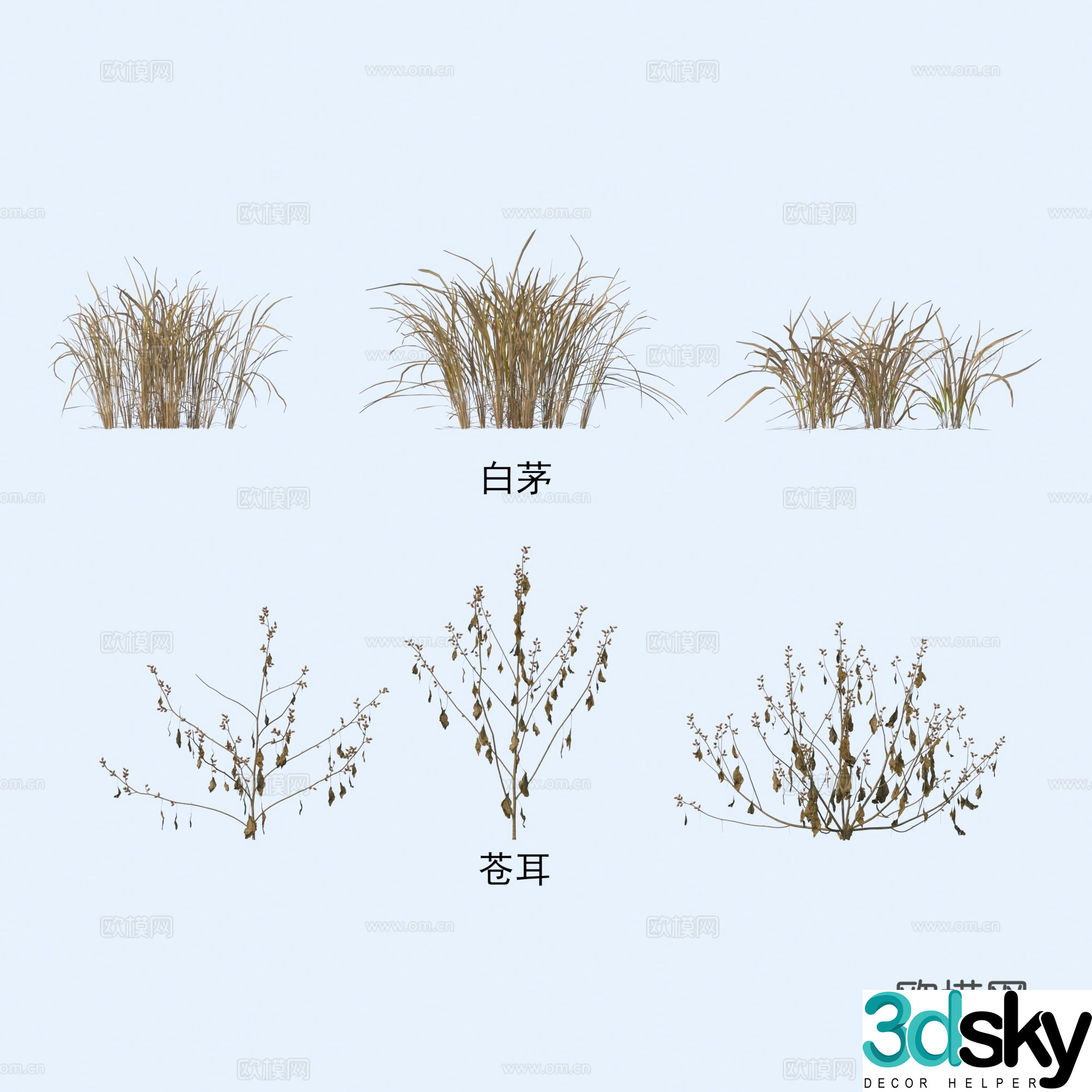Plants Flowers Imperata Xanthium 3D model