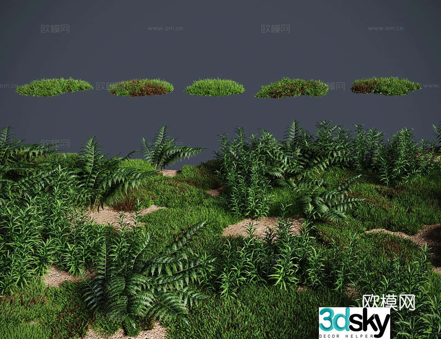 Modern grass lawn Hainan Mingye Moss grassland 3d model