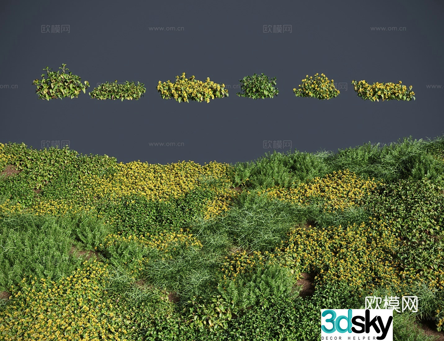 modern lawn lawn money grass meadow shrub 3d model