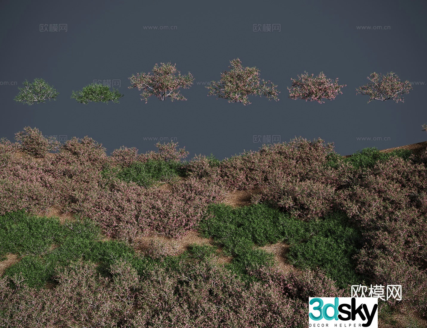 3D model of Dachshunda meadow shrub