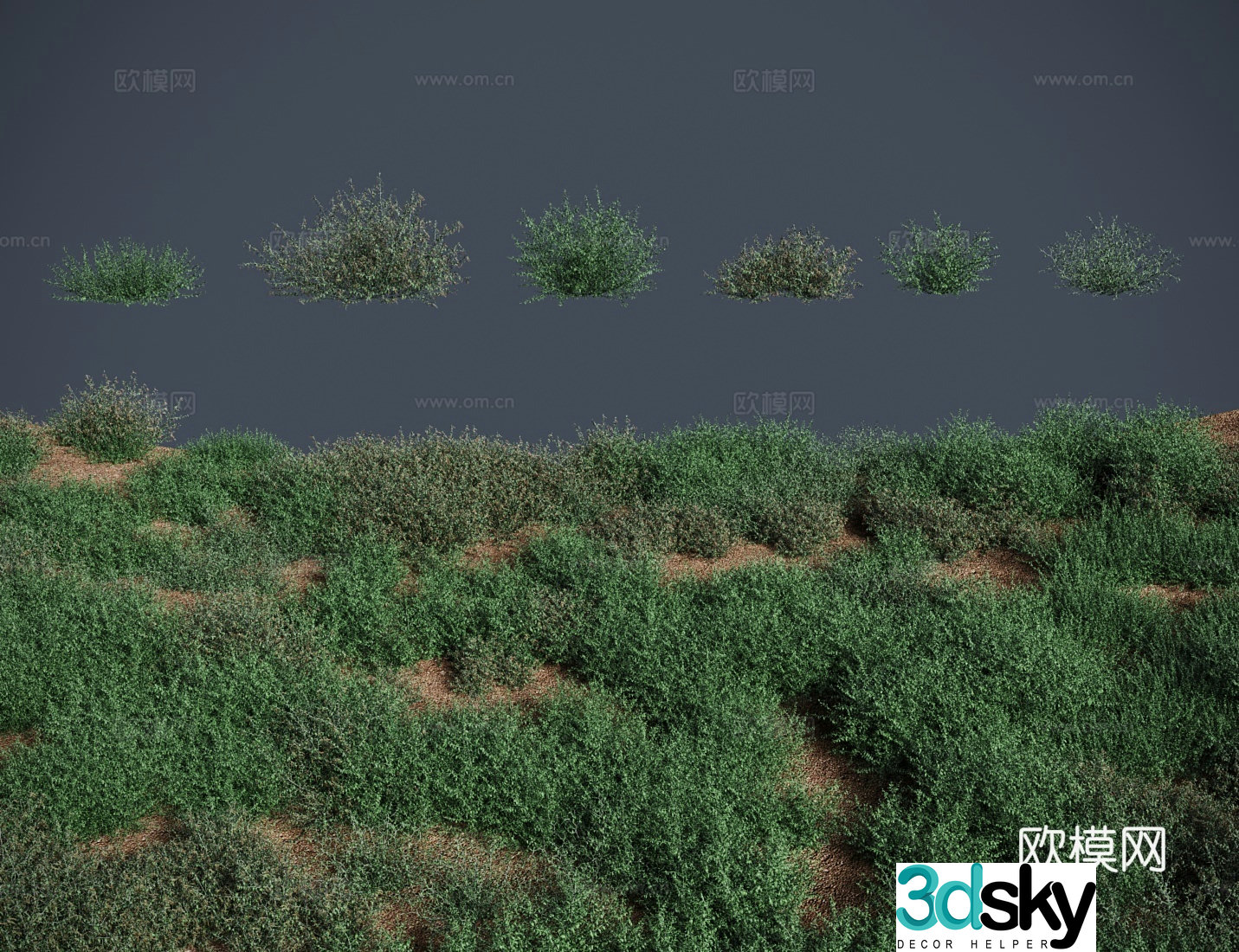 Modern meadow lawn camel thorn meadow shrub 3d model