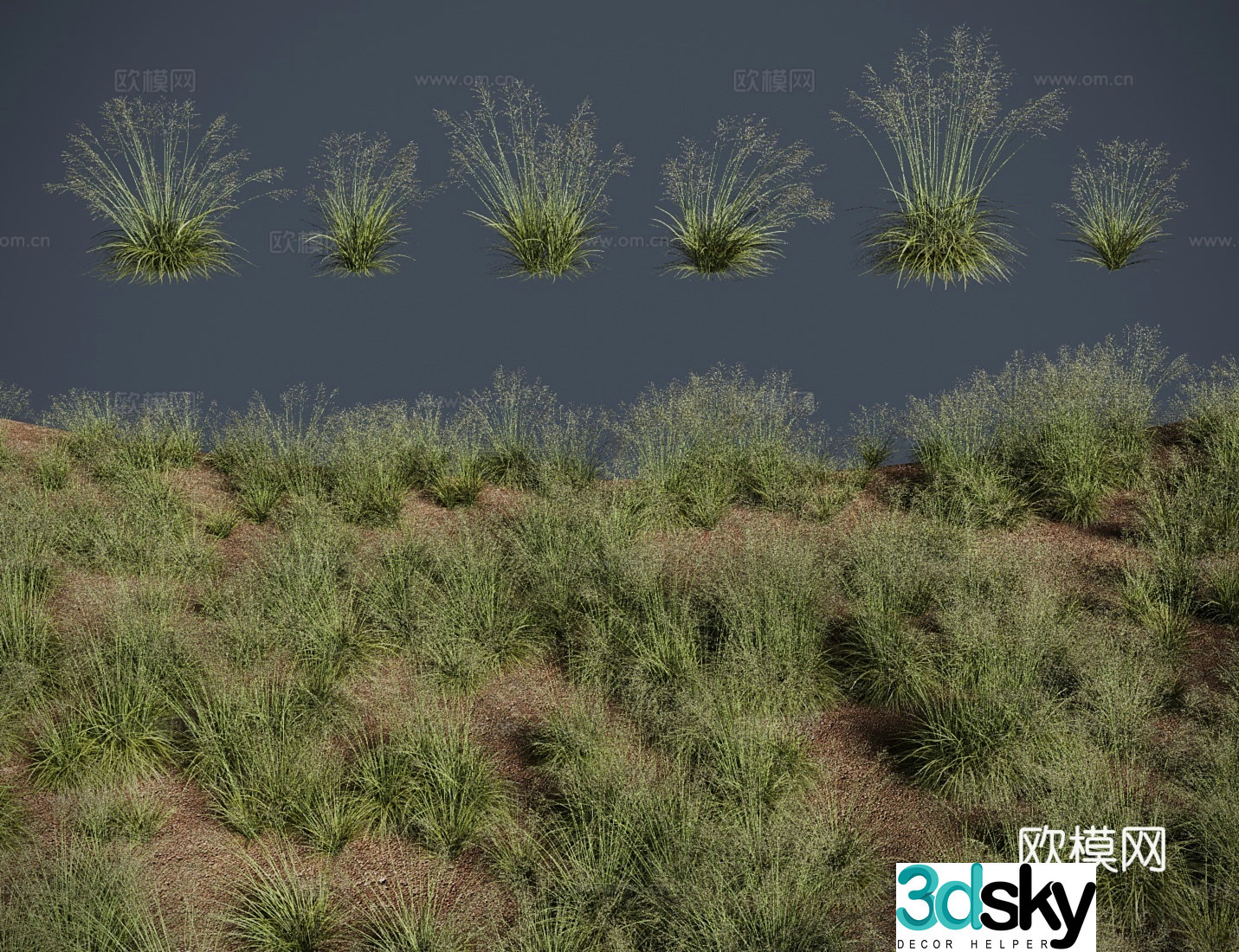 modern grass lawn splendens meadow shrub 3d model