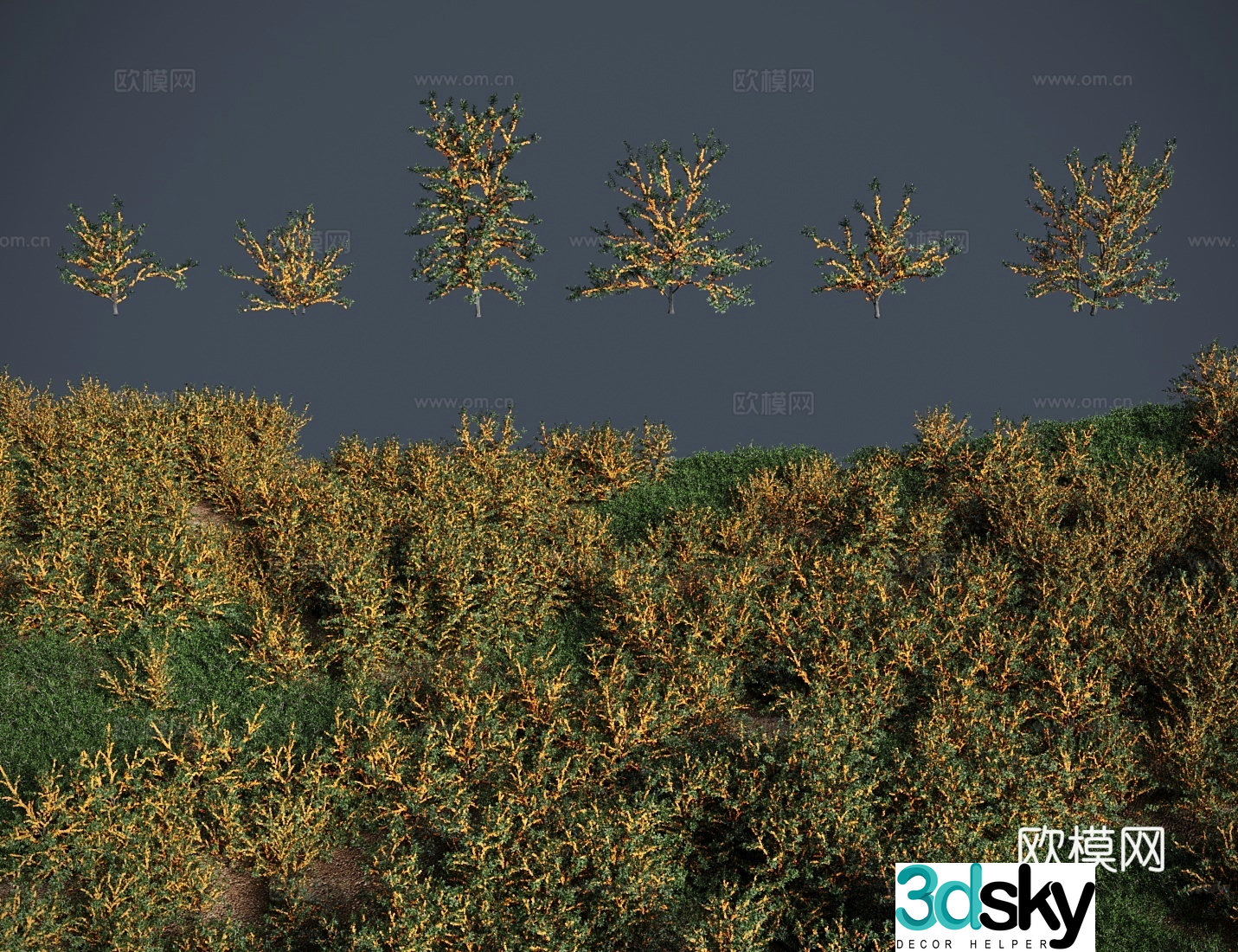 Modern grass lawn sea buckthorn meadow shrub 3d model