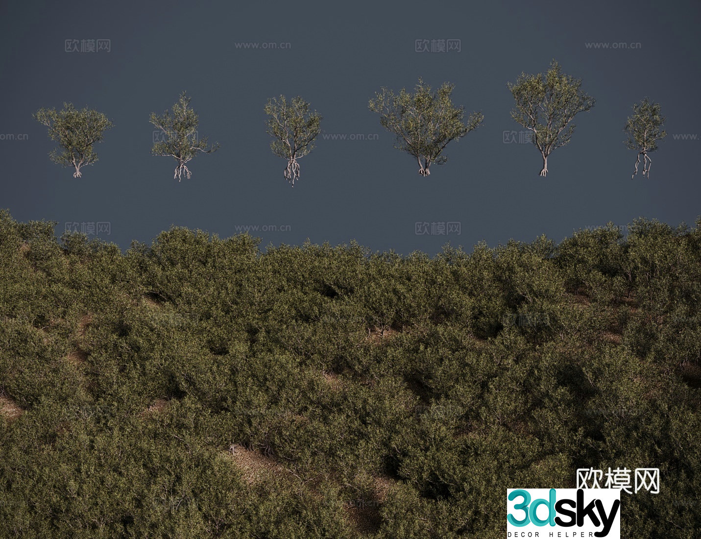 Modern tree Haloxylon ammodendron tree shrub 3d model