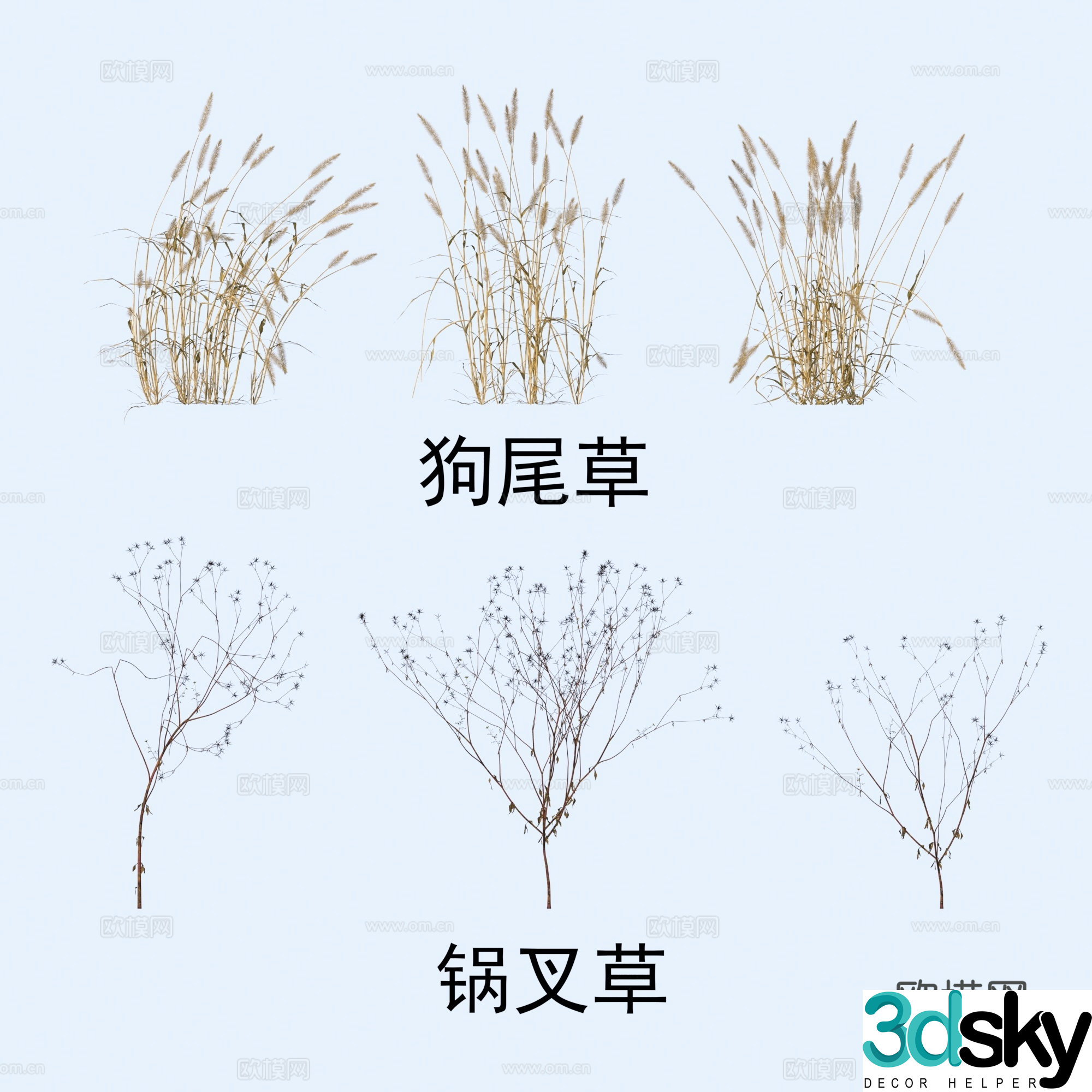Plants flowers green foxtail green foxtail 3d model