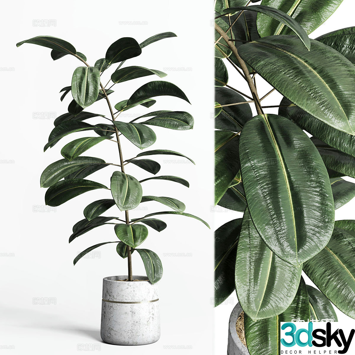 potted plant 3d model