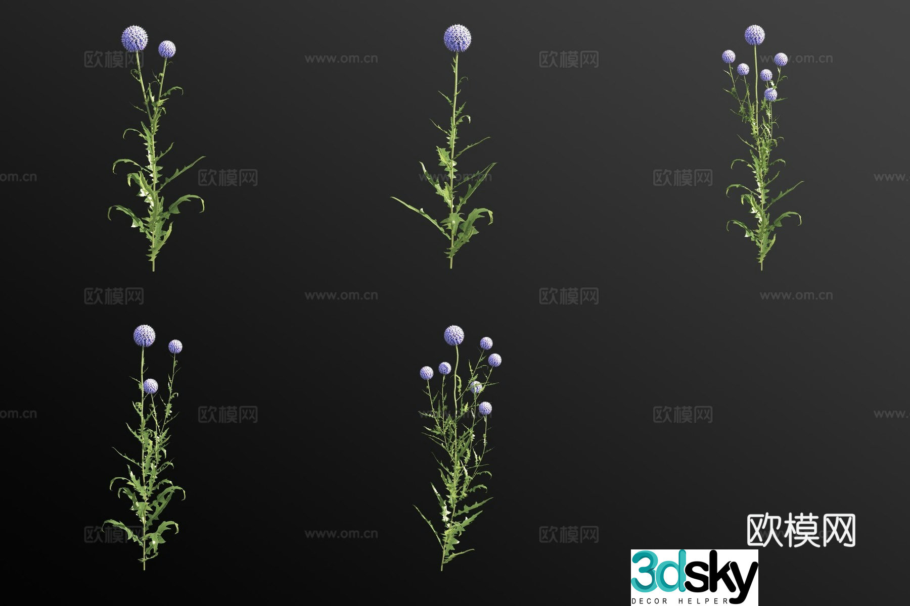 Blue thorn flower 3d model