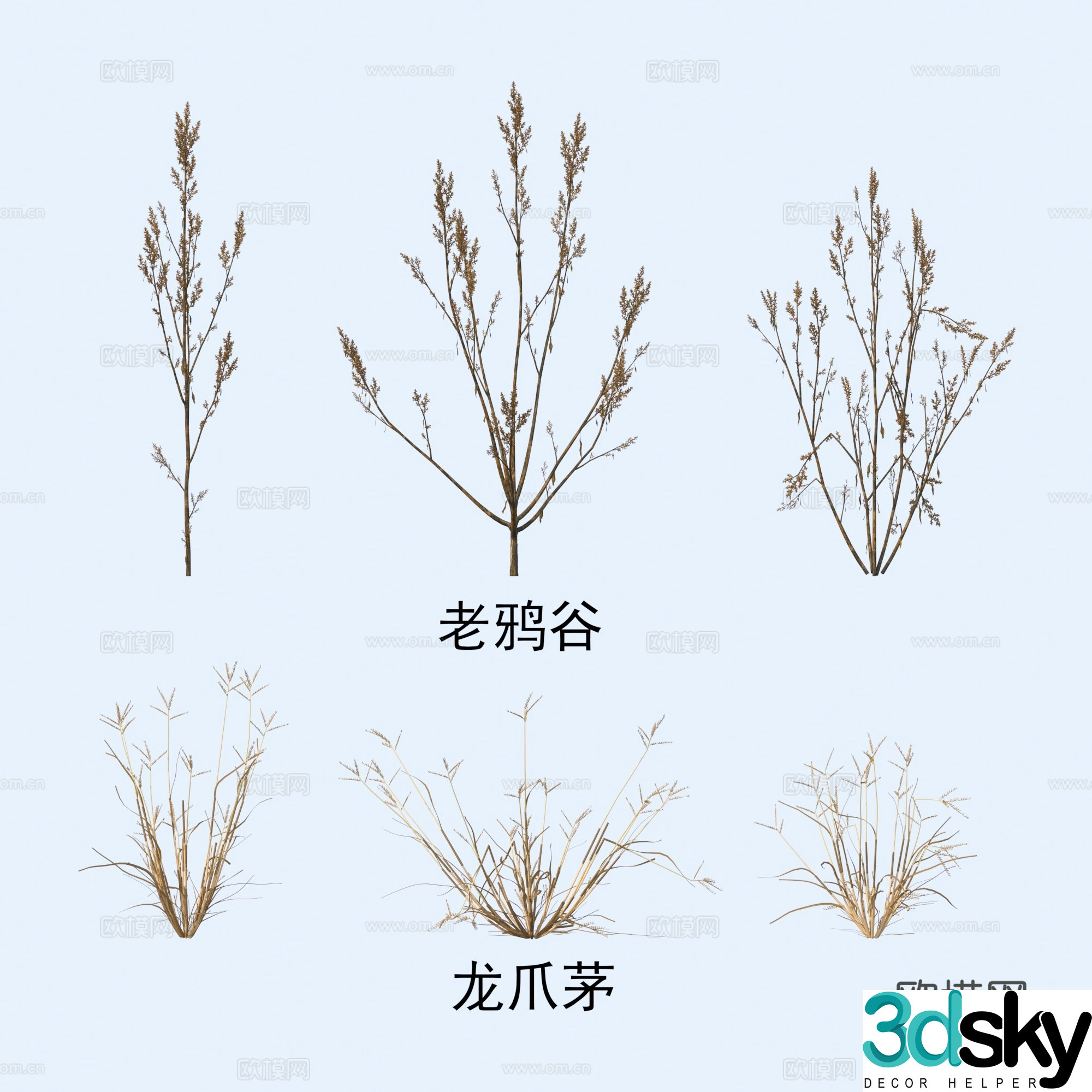 Plants Flowers Old Crow Valley Dragon’s Claw 3D Model