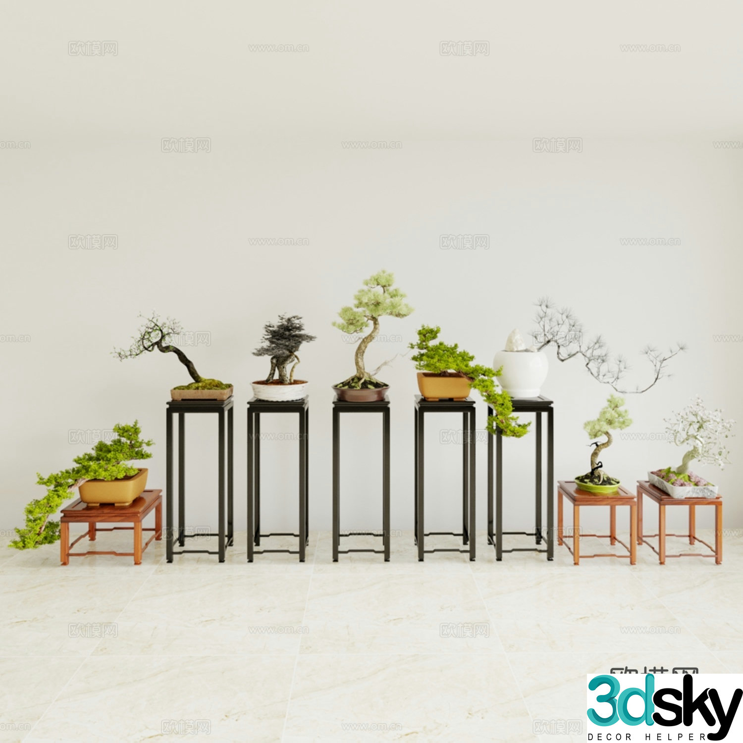 Pine bonsai Welcoming pine bonsai 3d model