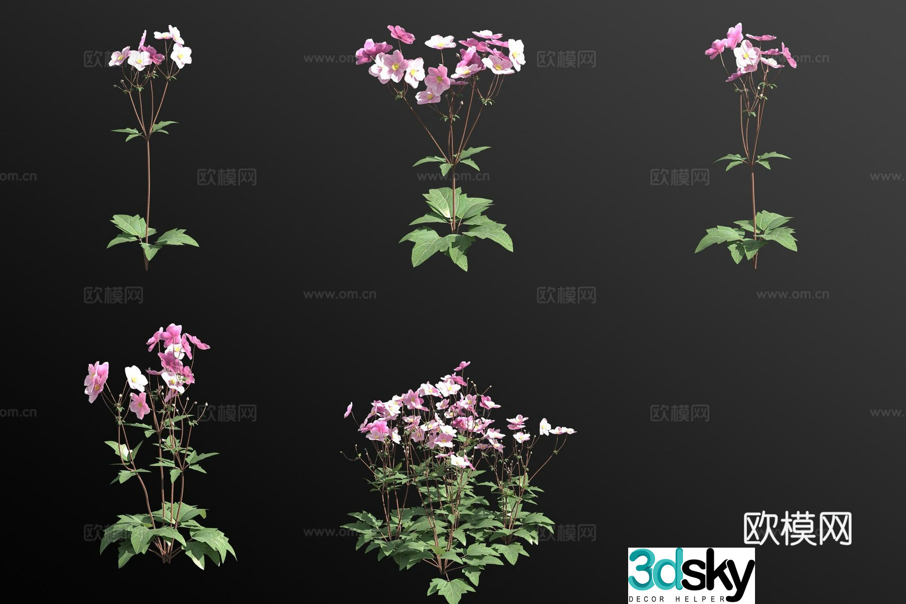 Broken bowl of flowers flowers and plants 3d model