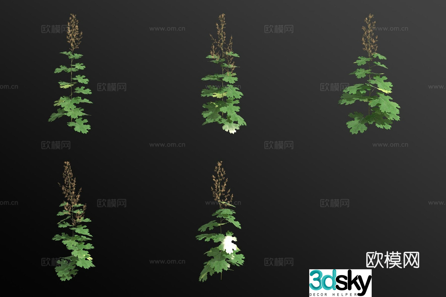 Small fruit tree falls back to flowers and plants 3d model