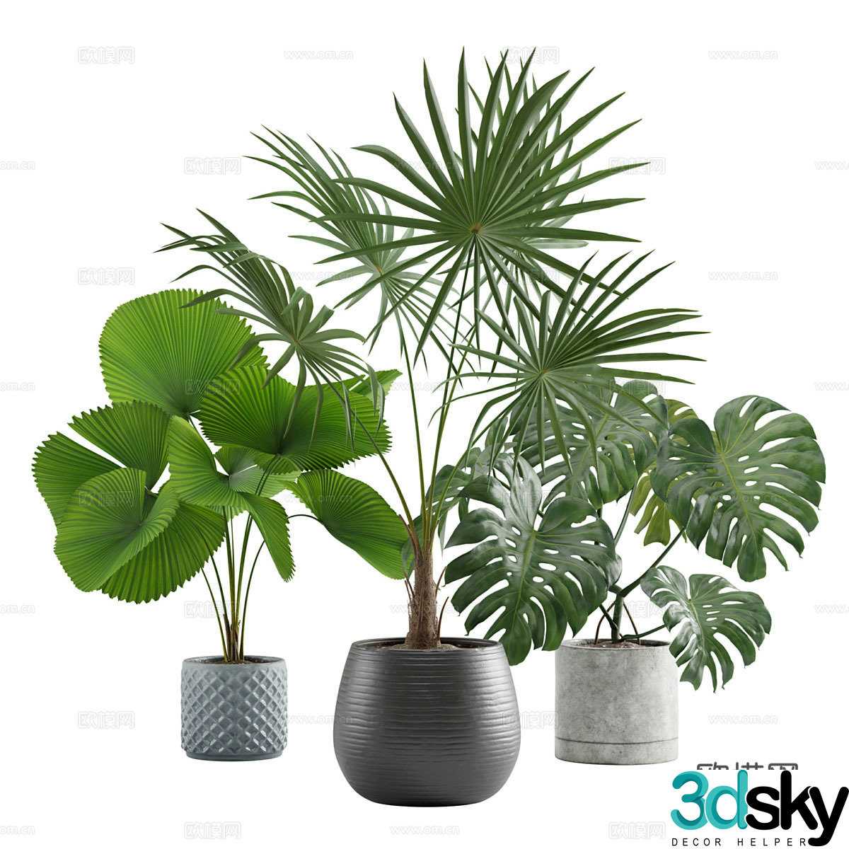 Green plant potted 3d model
