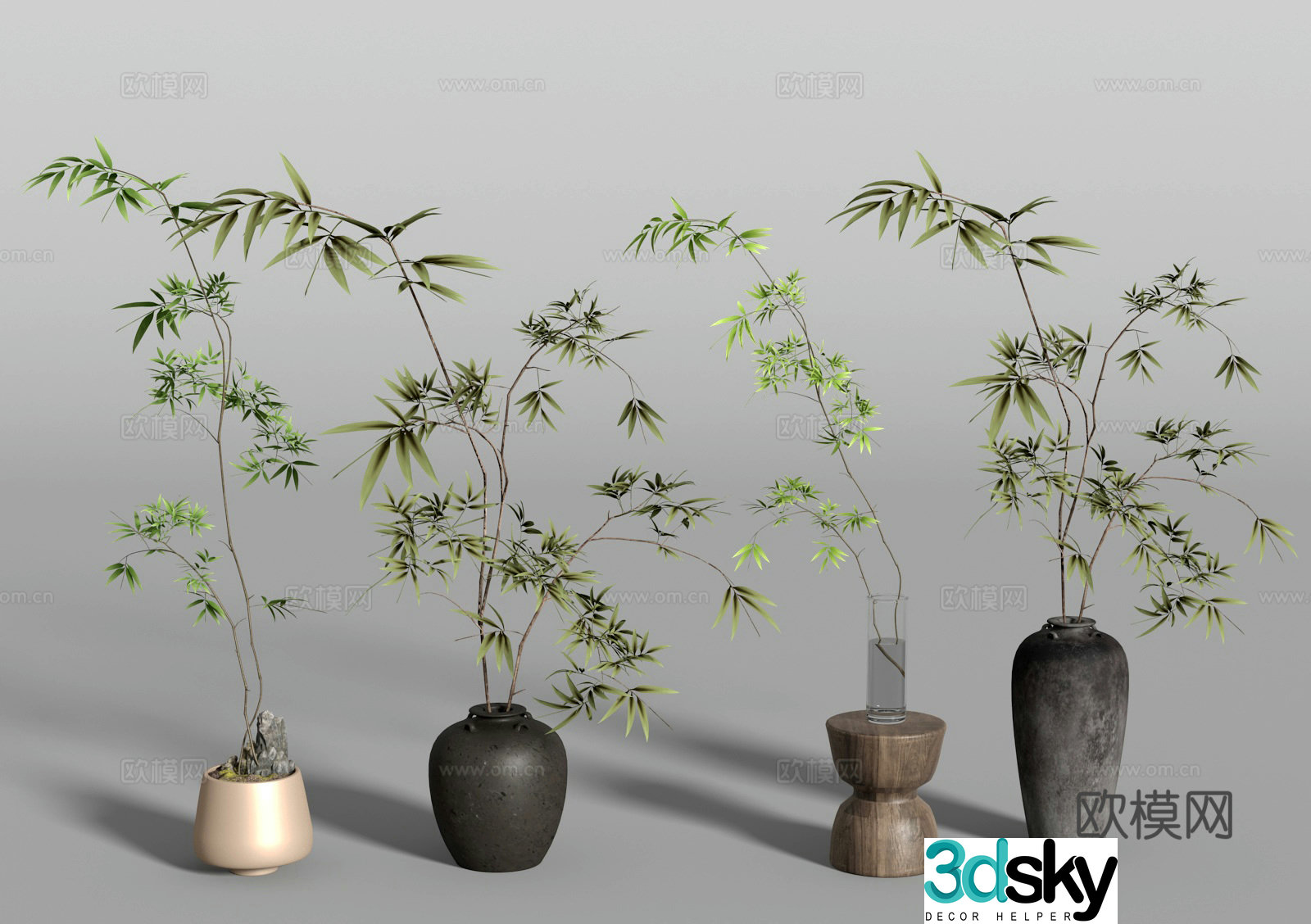 bamboo bonsai plant green plant 3d model