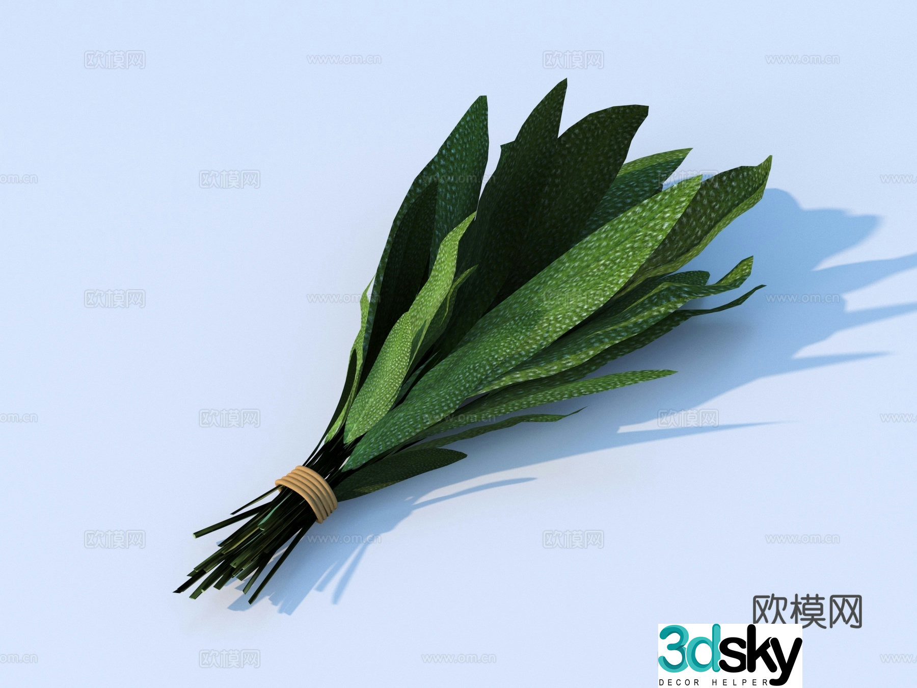 vegetables side dishes coriander 3d model