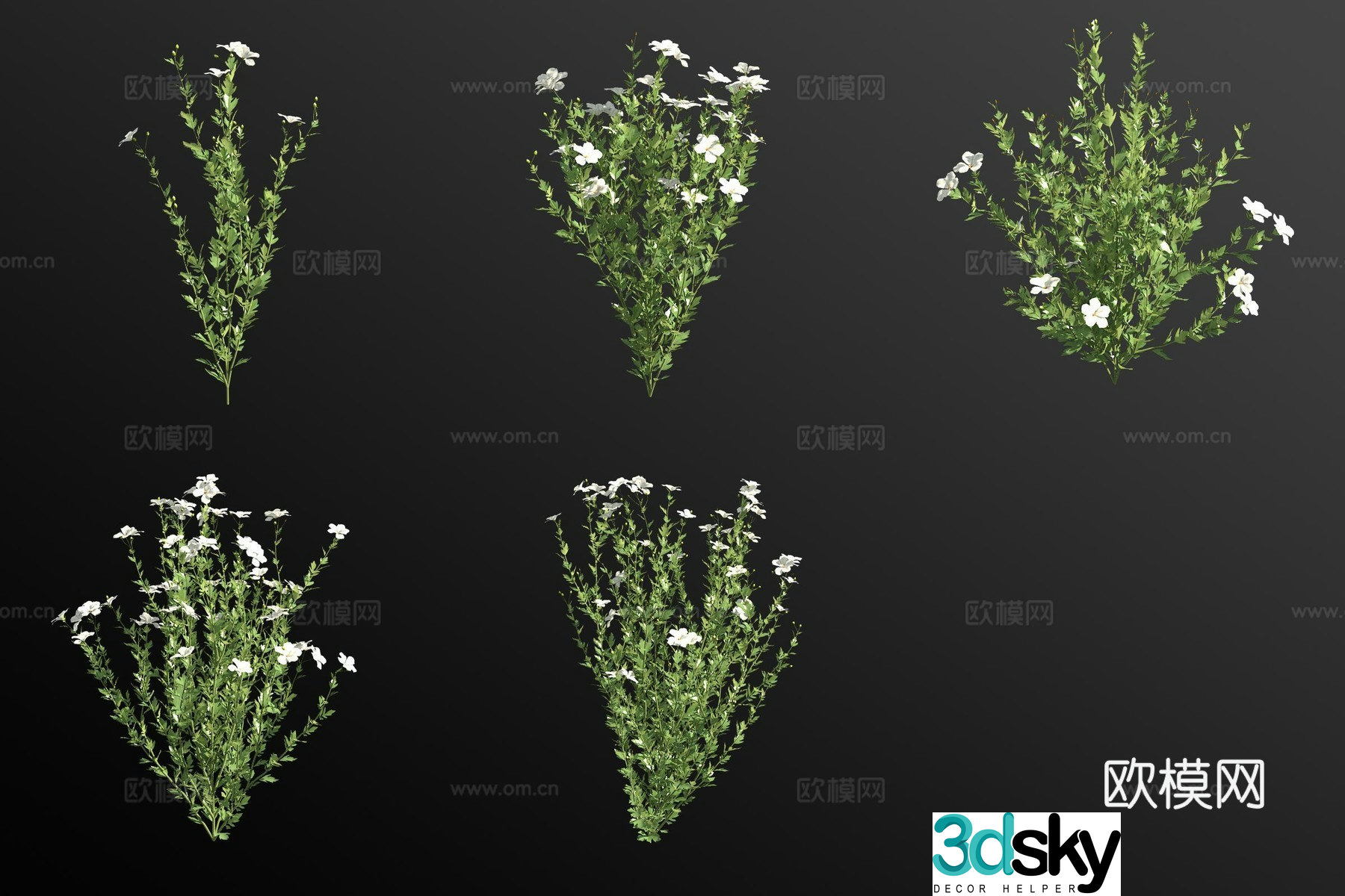 Big poppy flower grass 3d model