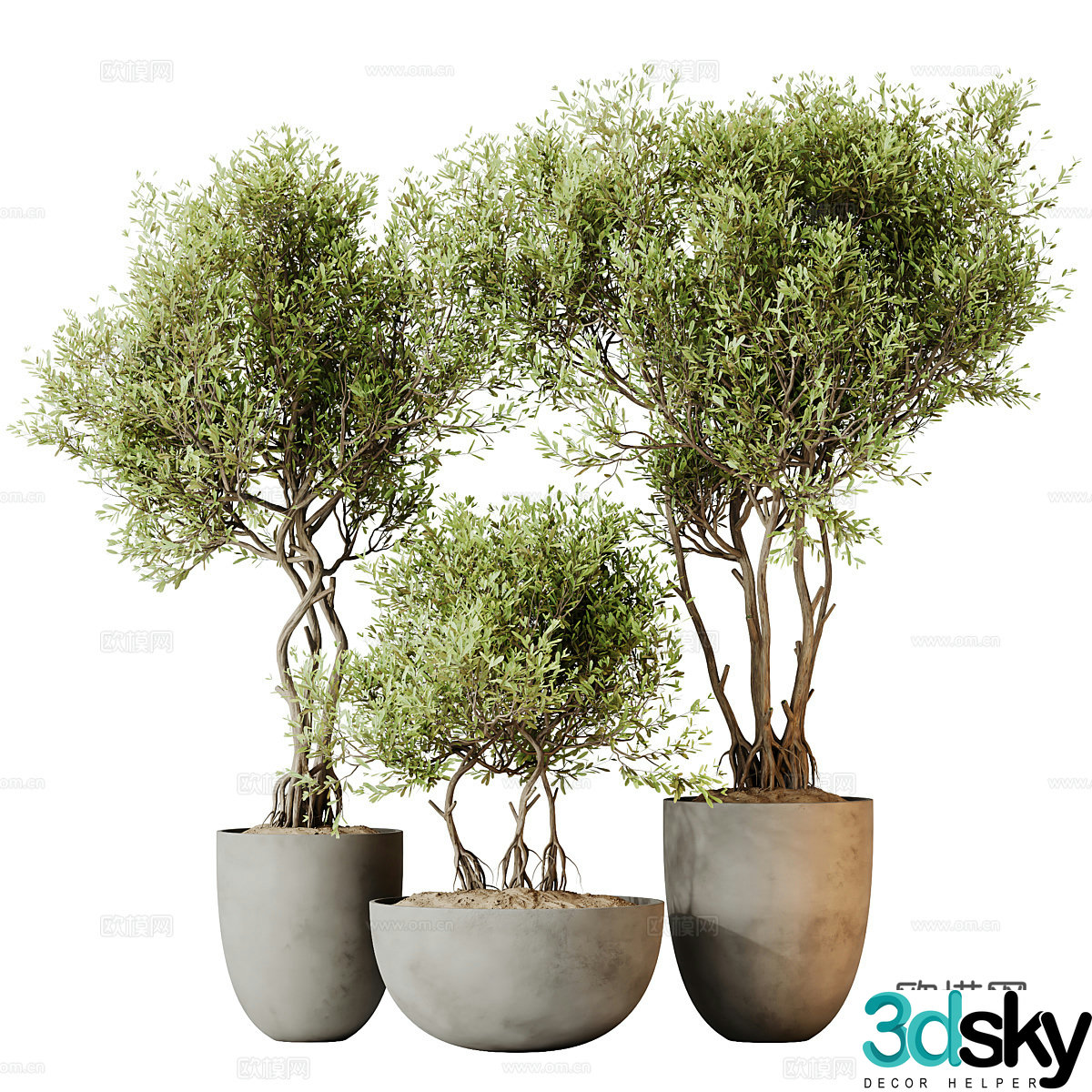 Green plant potted flower pot 3d model