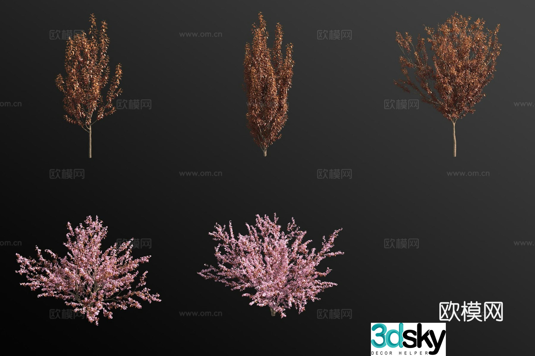 Purple leaf plum shrub plant 3d model