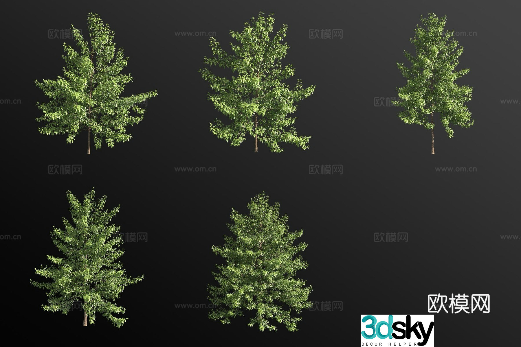 Flowery blue fruit tree shrub plant 3d model