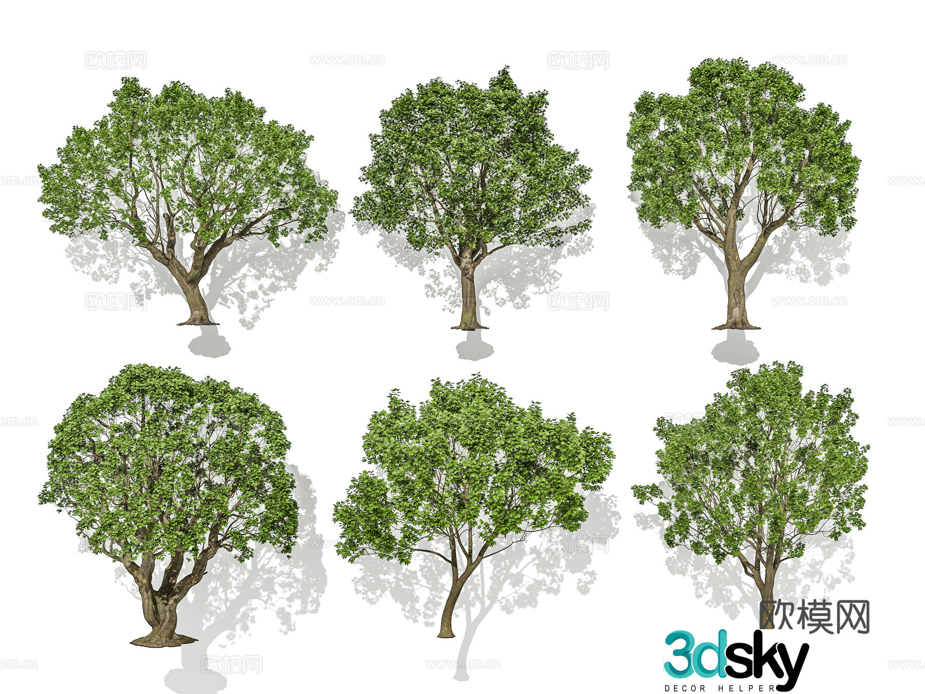 Tree Street Tree Landscape Tree Solitary Tree Planting 3D Model