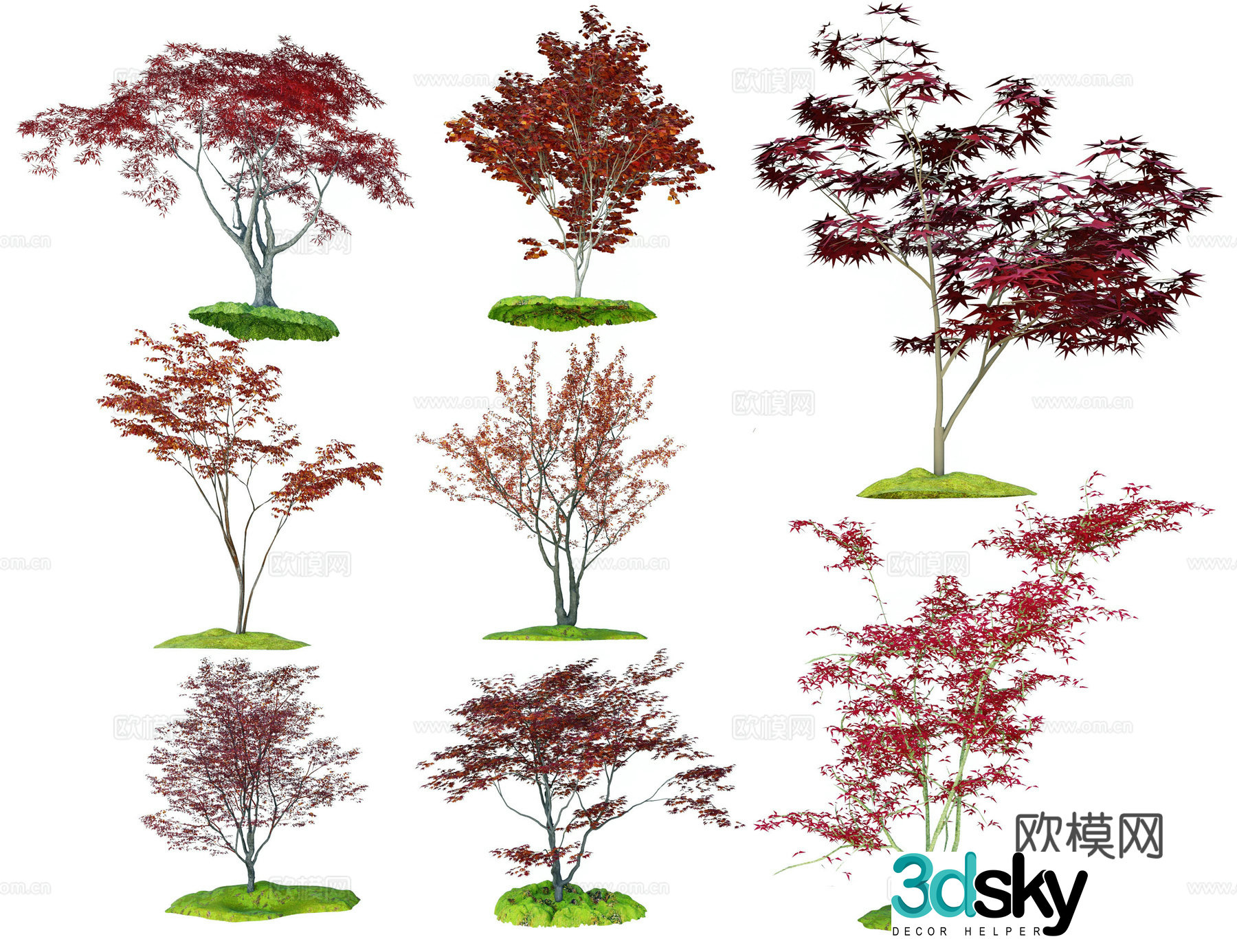 red maple maple red leaf tree maple leaf tree maple tree 3d model