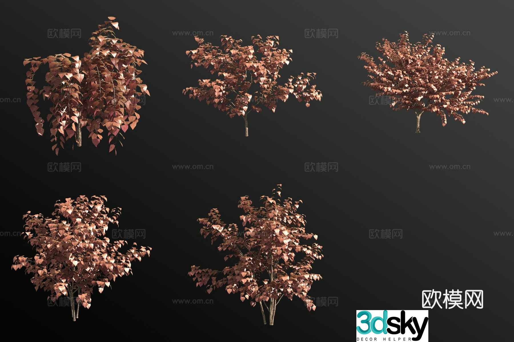 Canadian Bauhinia Shrub 3D Model