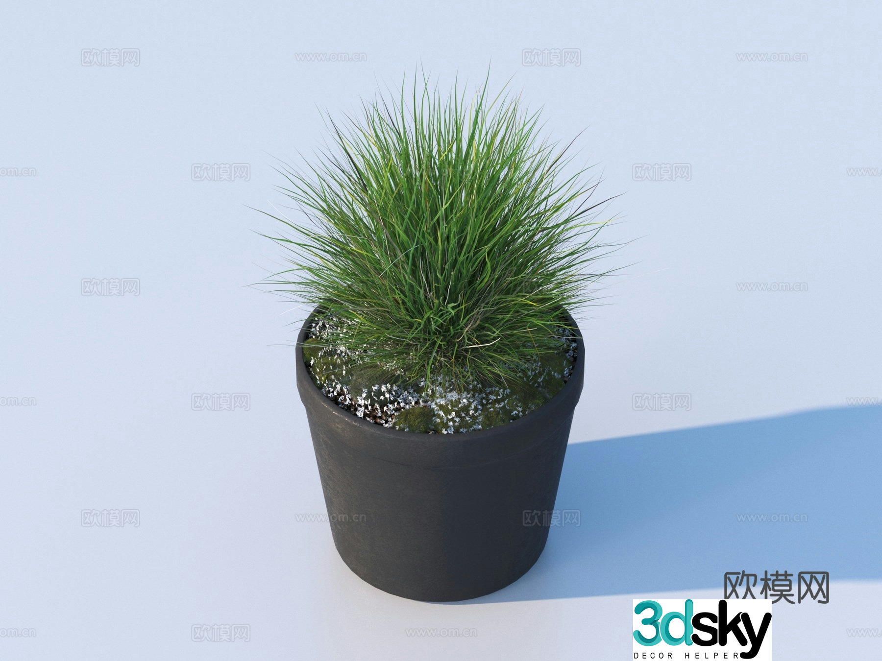 flowerpot potted plant green plant plant 3d model