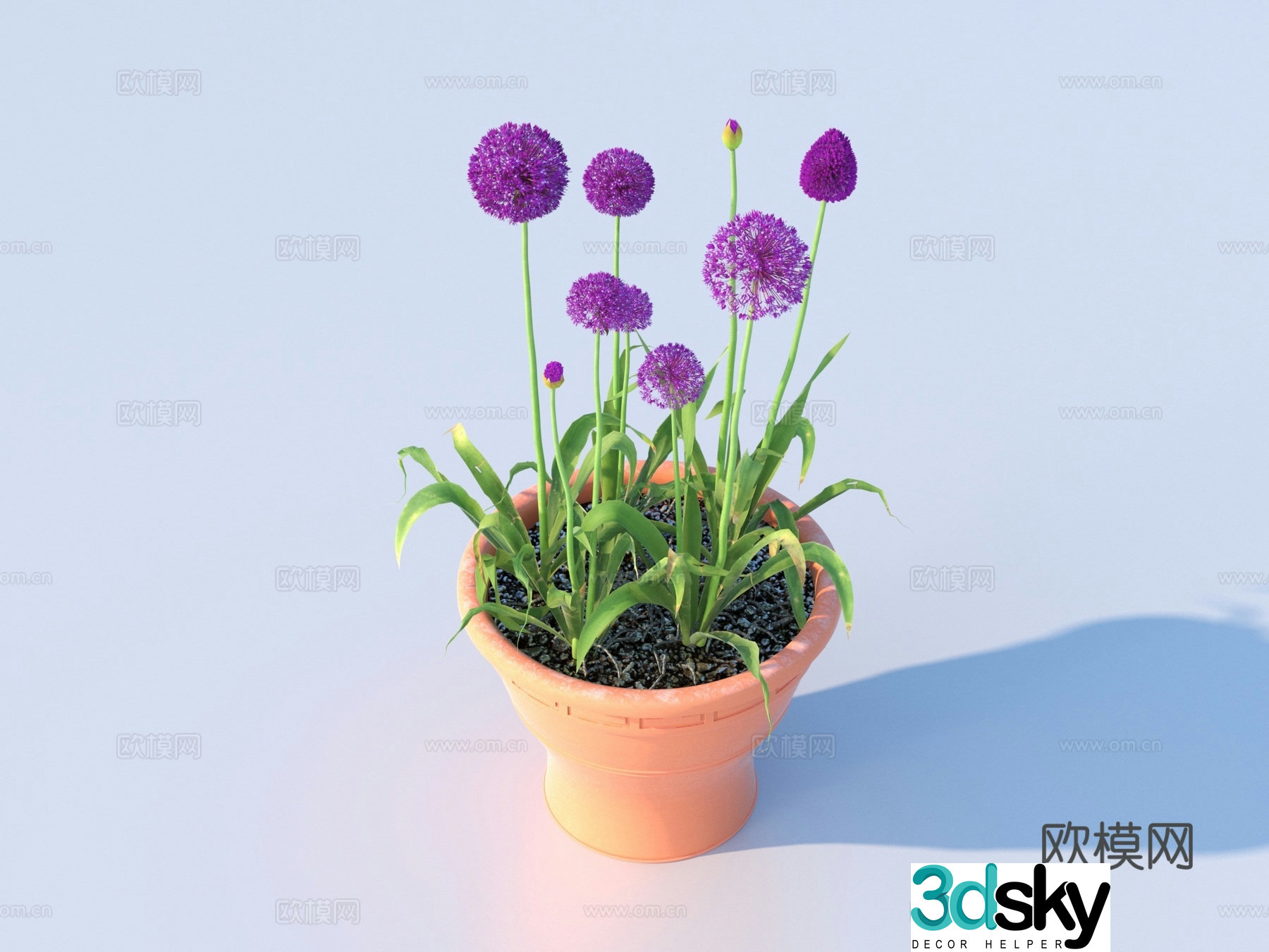 flowerpot potted plant green plant plant 3d model