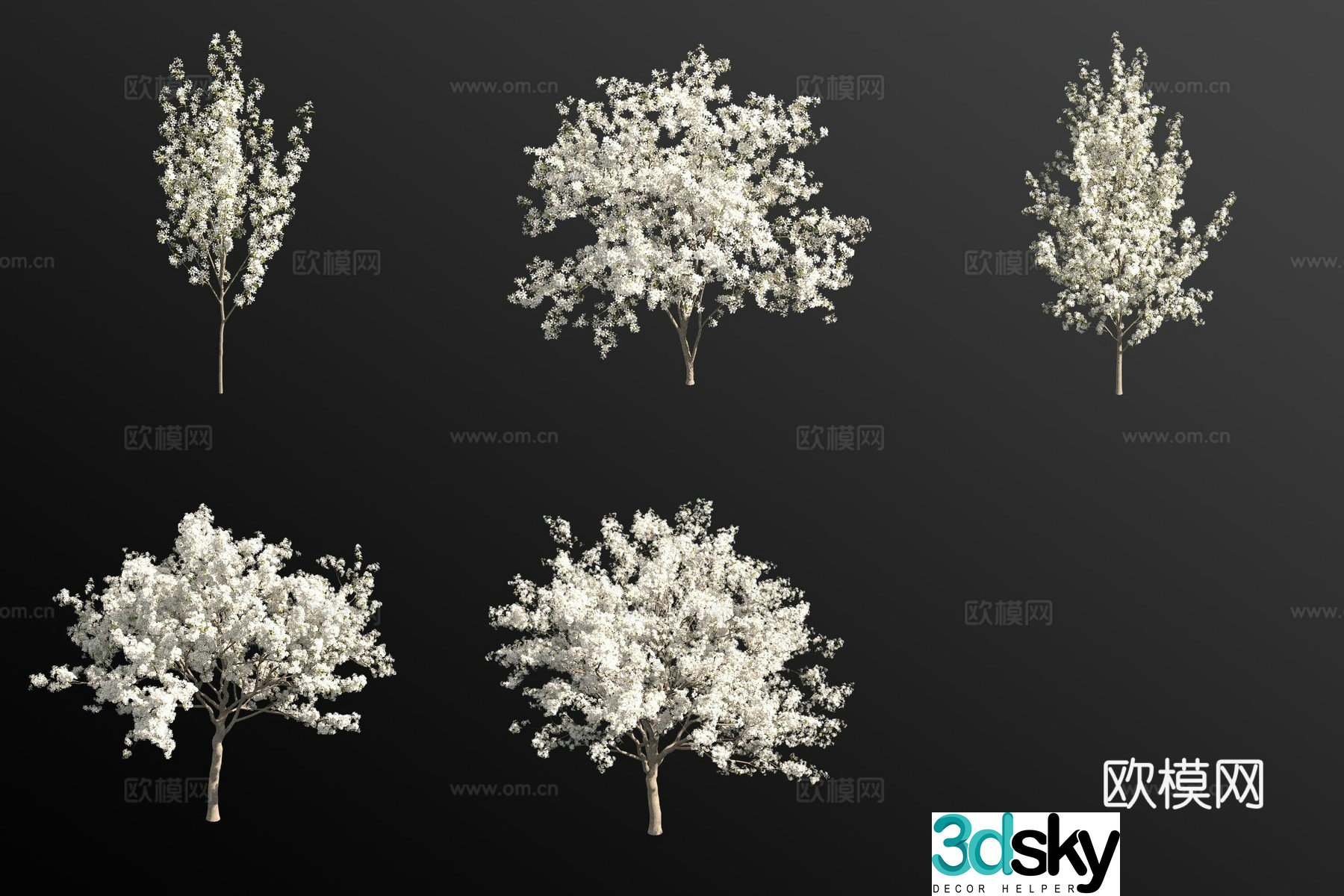 Bean pear shrub plant 3d model