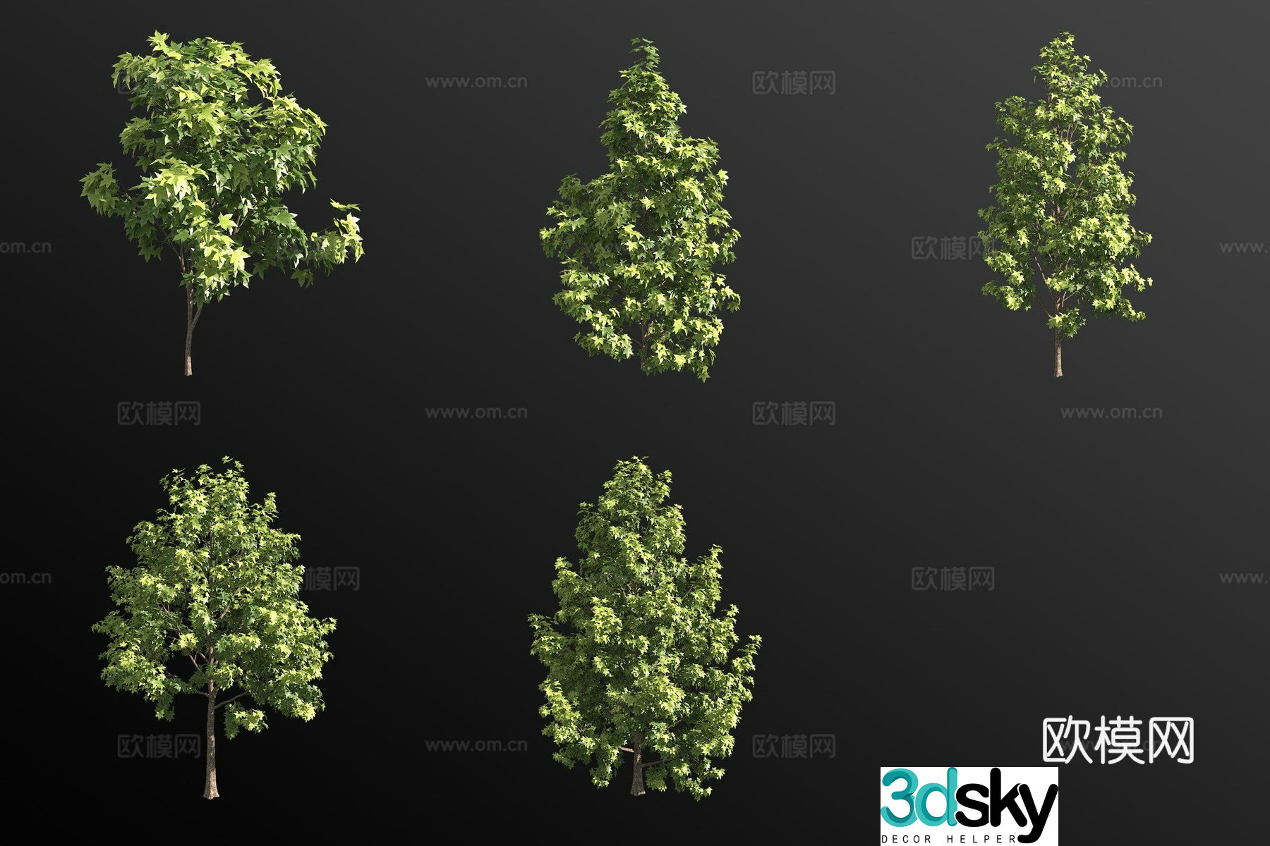 Sweet Tree Shrub Plant 3D Model
