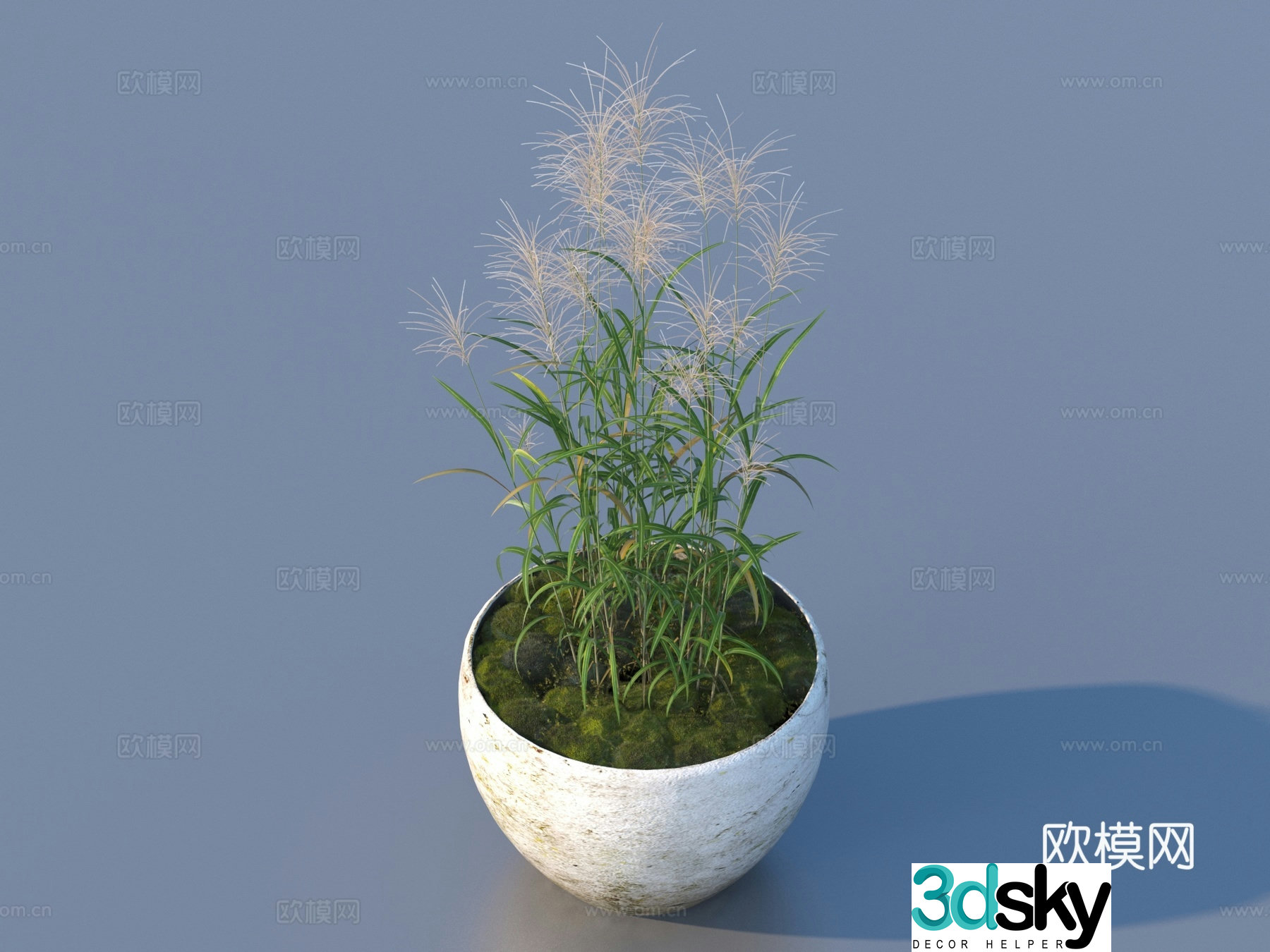 flowerpot potted plant green plant plant 3d model